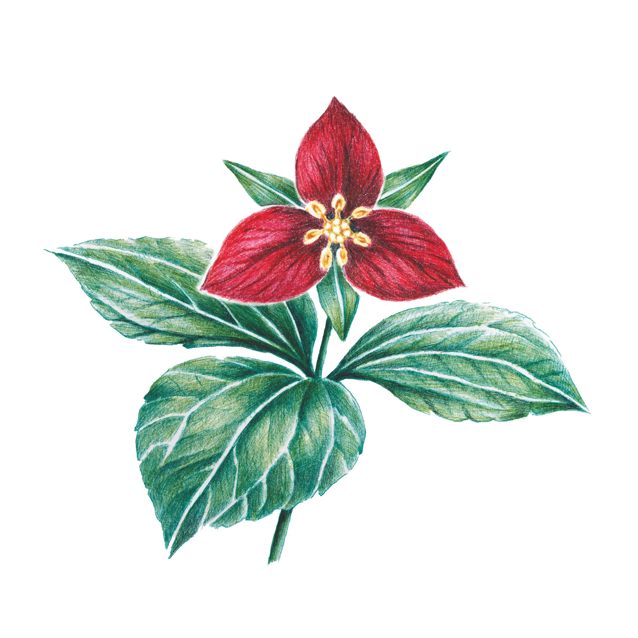 Artboard 14@300x-80.jpg