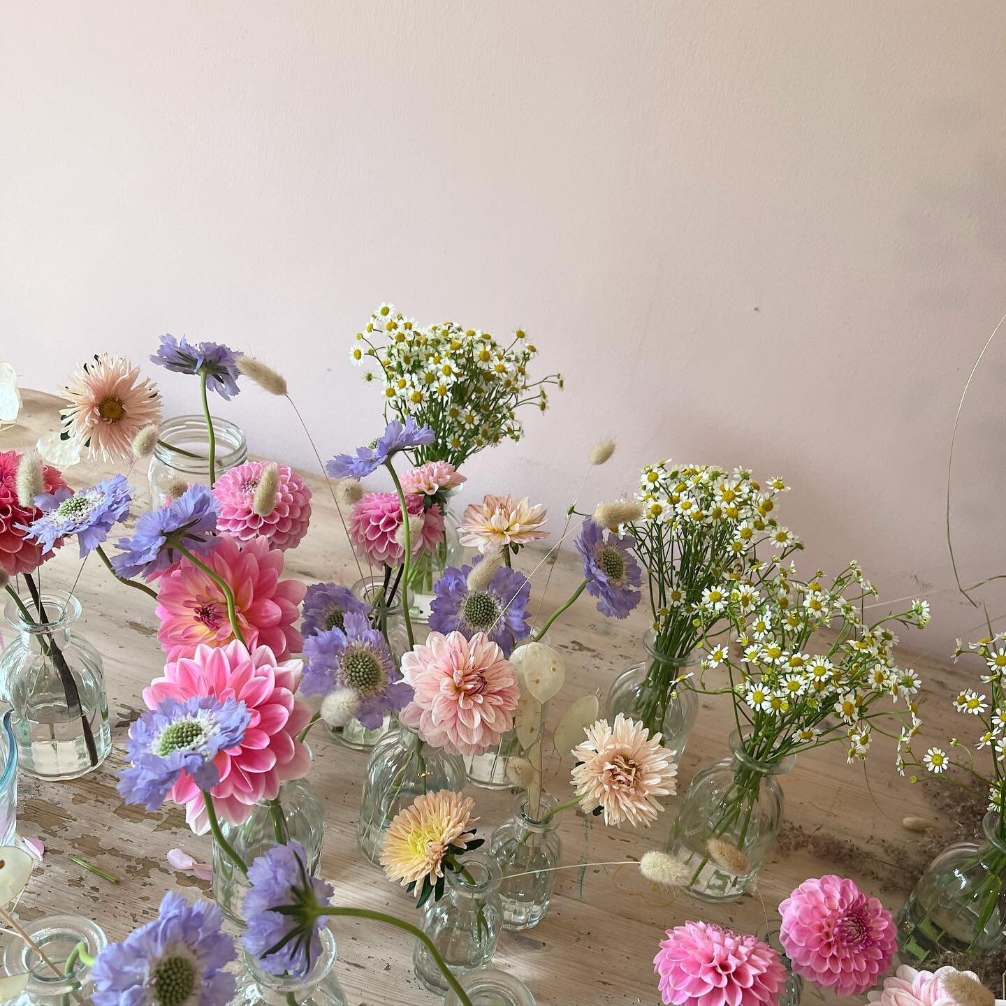 Some snapshots of the beautiful blooms I was able to work with this week whilst freelancing for @clementines_florals. A dreamy sunset colour palette with pops of cornflower blue. 🌸 #brightonflorist #hoveflorist #sussexflorist #hoveactually