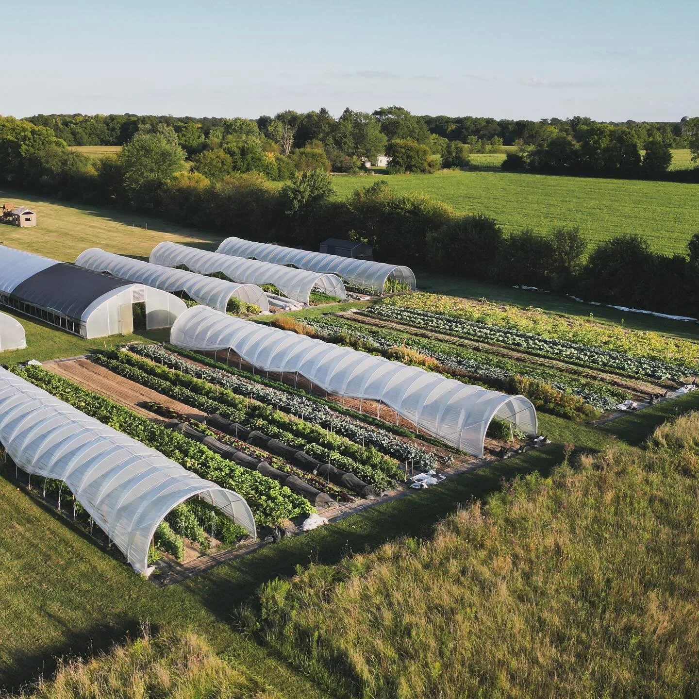 Loving the fall light in the gardens these days and from these overhead shots. It&rsquo;s amazing to track the sun and the location that it sets throughout the year. I had no idea it changed so much when I lived in the city but being out on some open