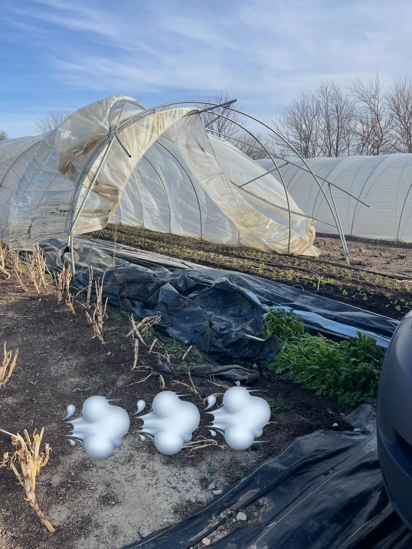 It&rsquo;s been five years out here in windy Xenia and yesterday&rsquo;s wind finally knocked out one of our small tunnels. It is fixable so that is good - just another thing to do during wacky spring - 78 degrees on the farm this week, 60 mph gusts,