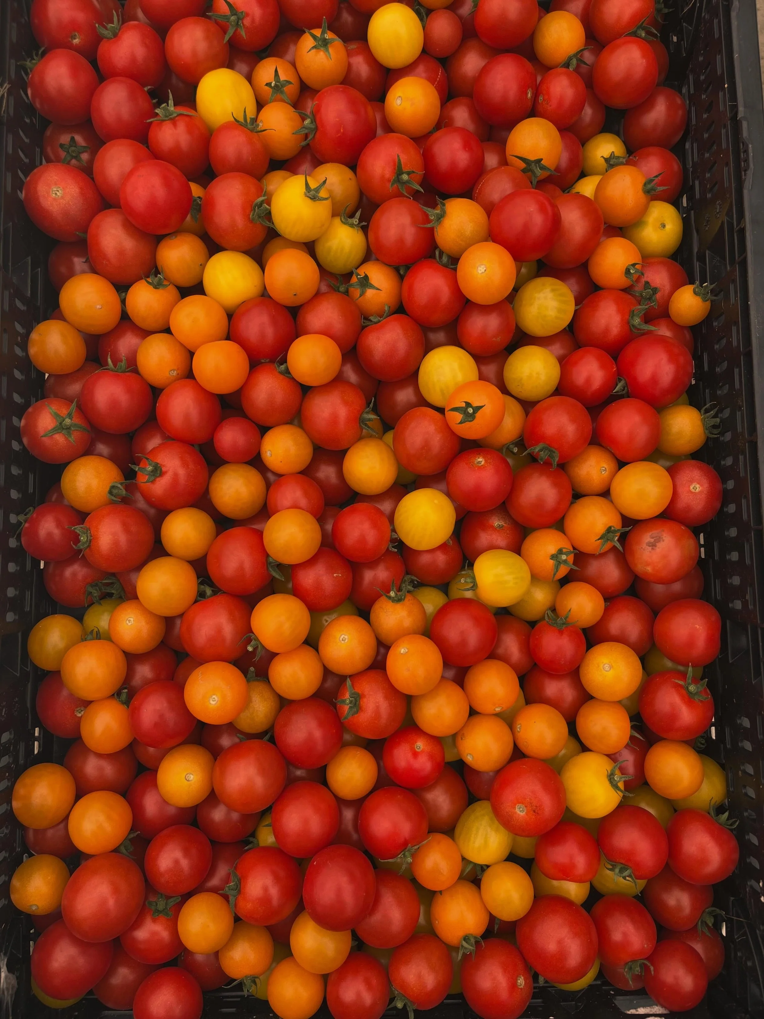 Bountiful summer days on the farm are here!