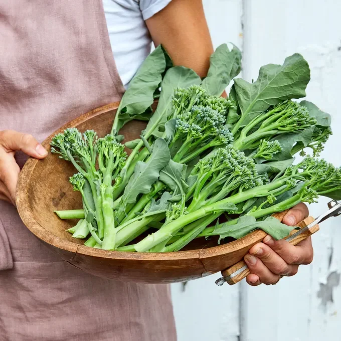 Sprouting Broccoli Bag