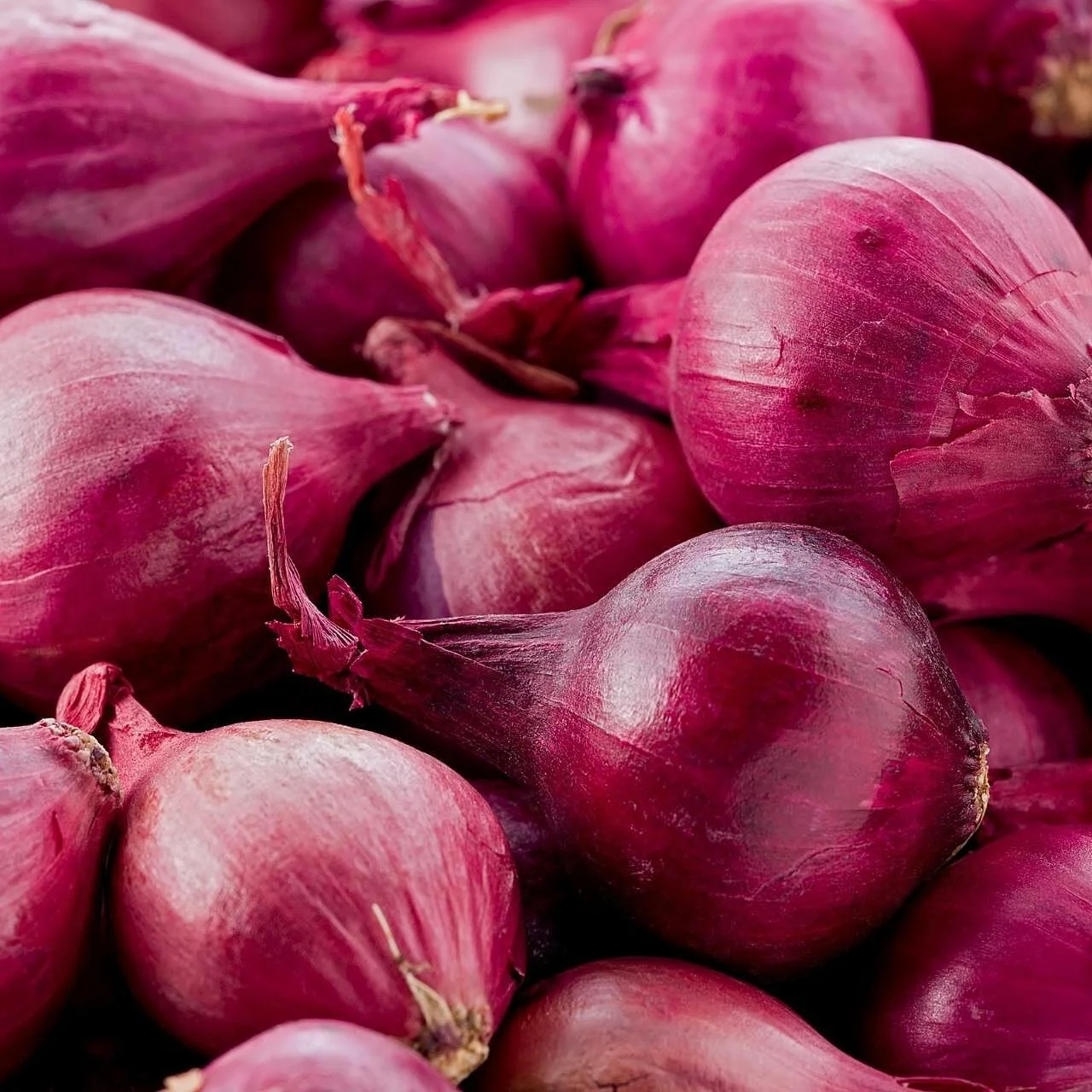 red onions.jpg