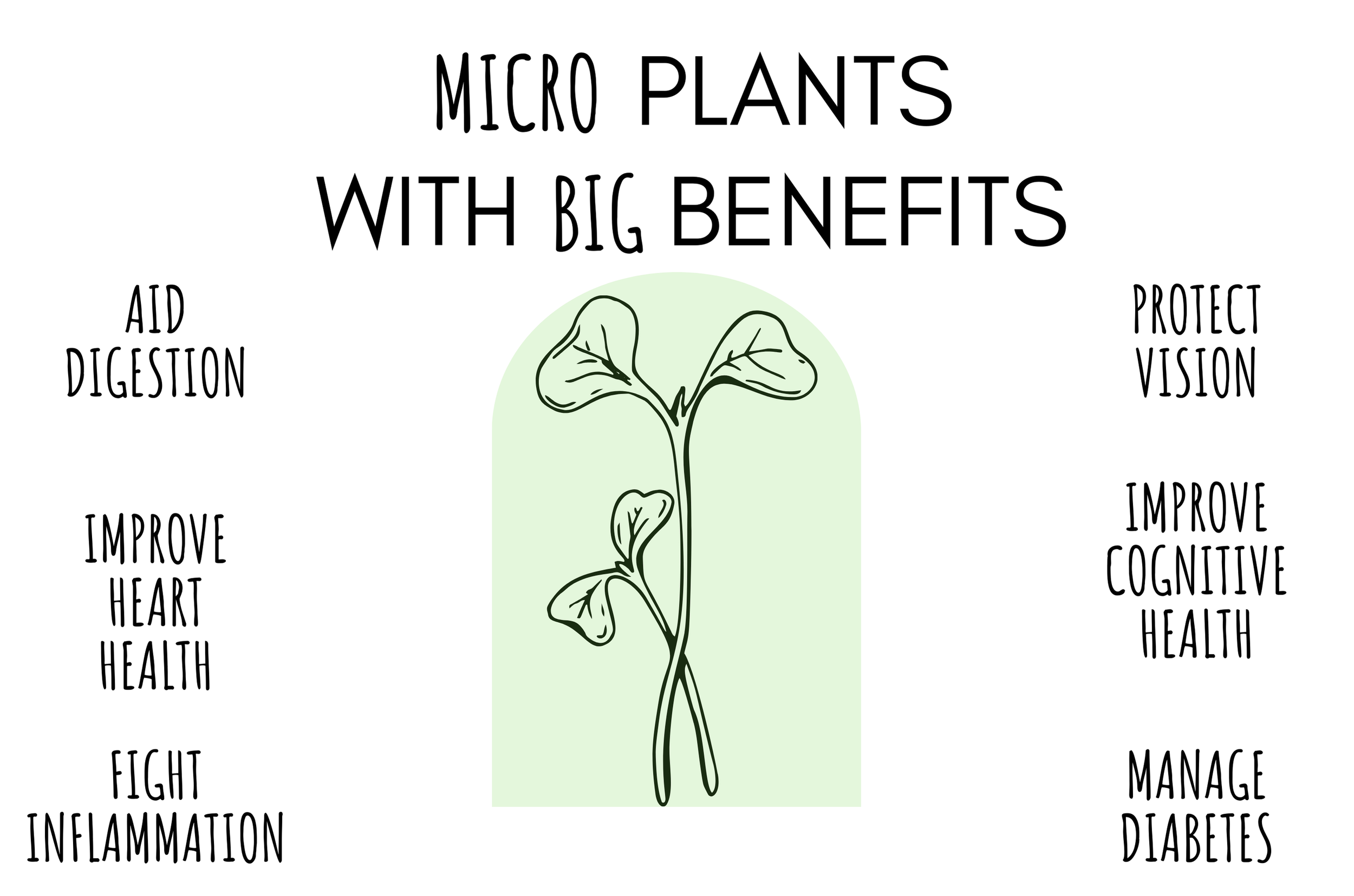 Microgreen Benefits: Aid Digestion, Protect Vision, Improve Heart Health, Improve Cognitive Health, Manage Diabetes and Fight Inflammation