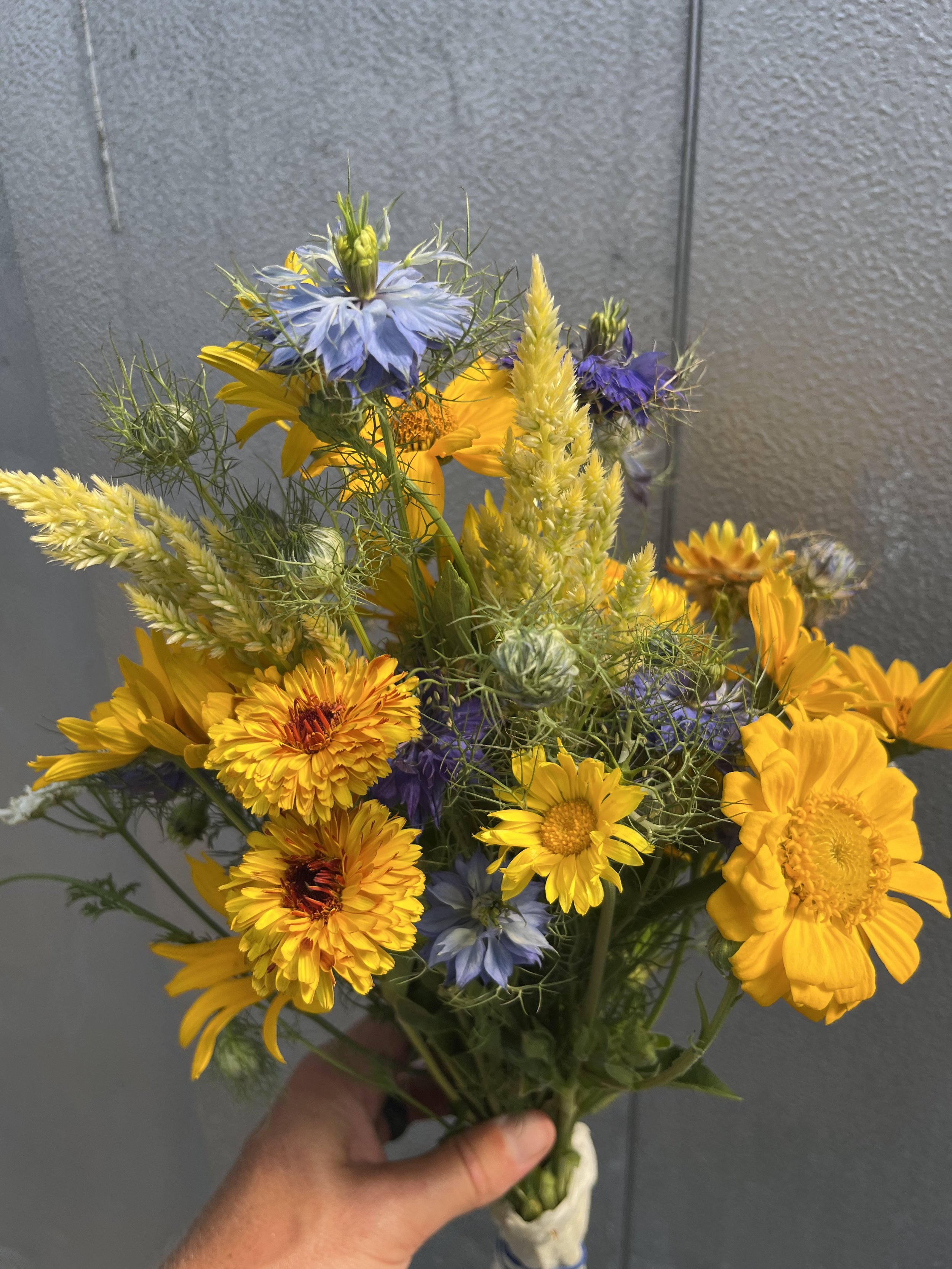 flower1.jpeg