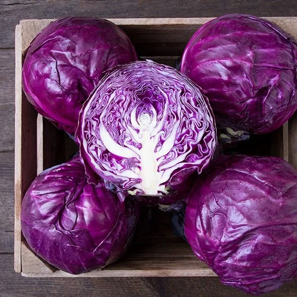 red cabbage.jpg