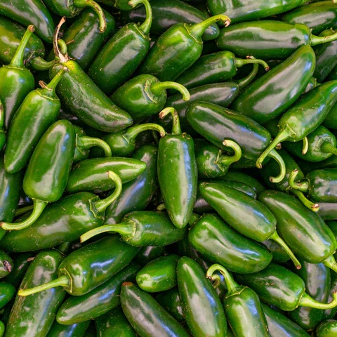 jalapeno.webp
