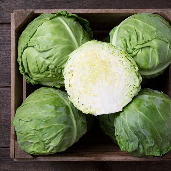 green cabbage.jpg
