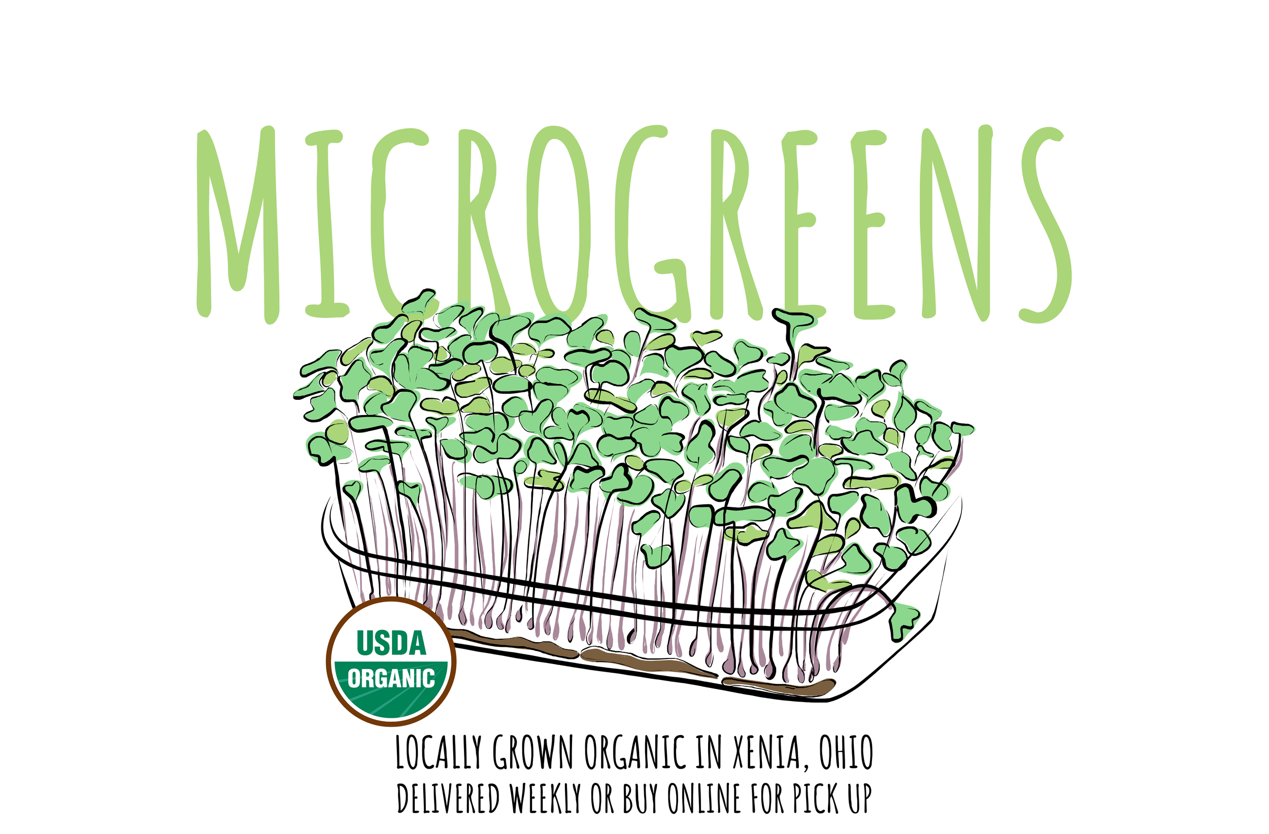Microgreens Locally Grown Organic - Xenia, Ohio. Delivered Weekly or Buy Online.