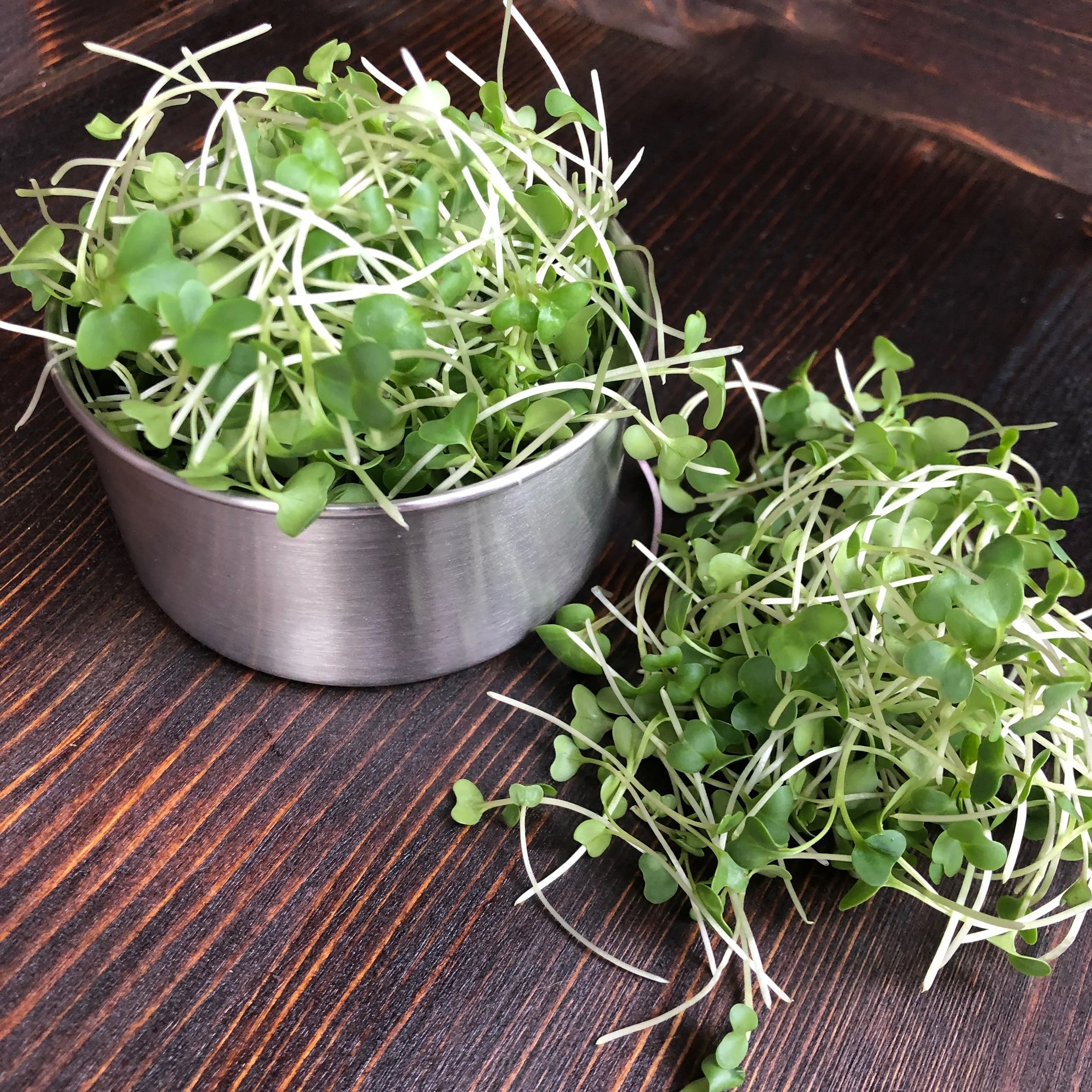 Pile of broccoli microgreens locally grown in Xenia, Ohio