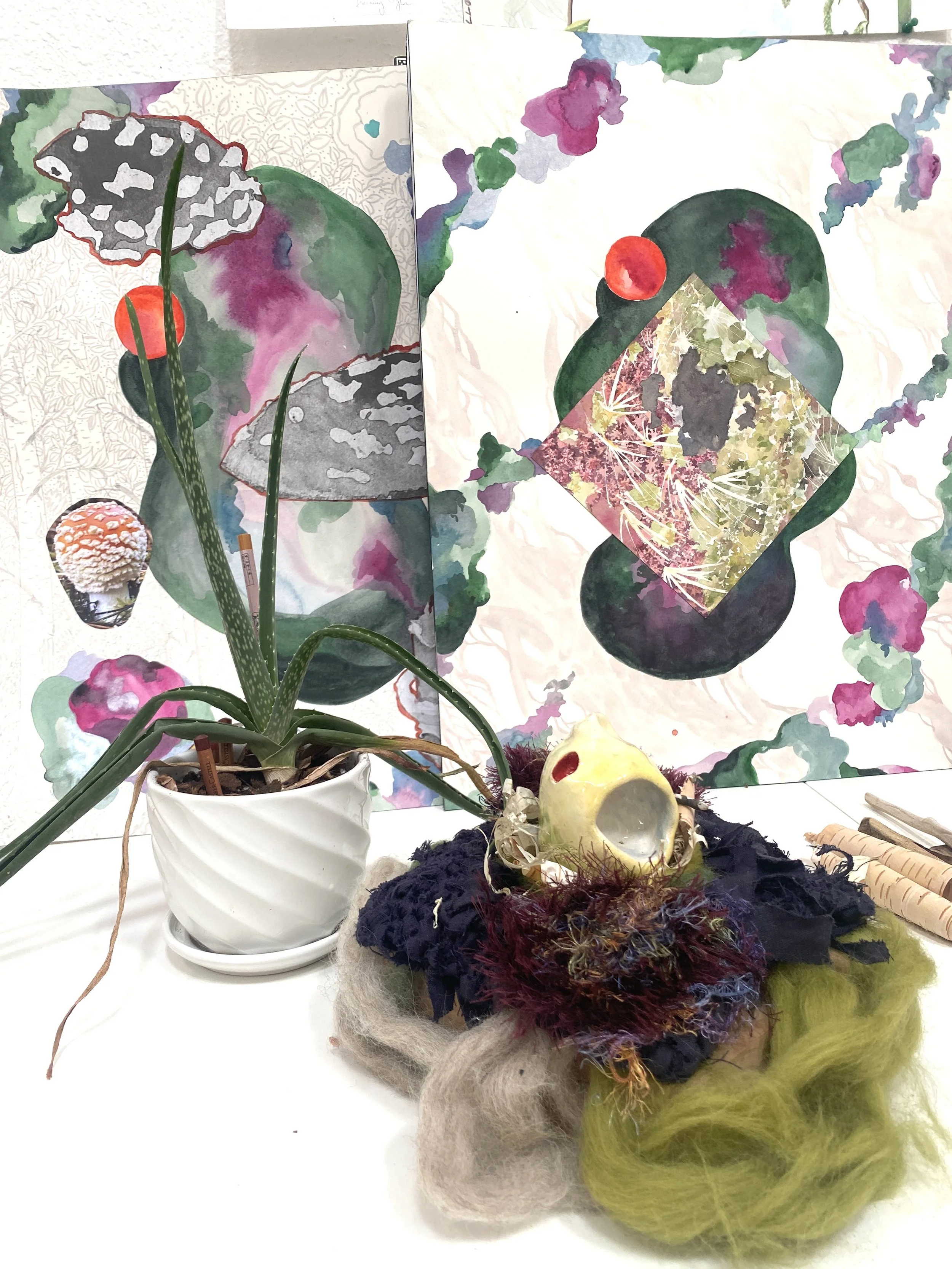 Studio, September 2025
