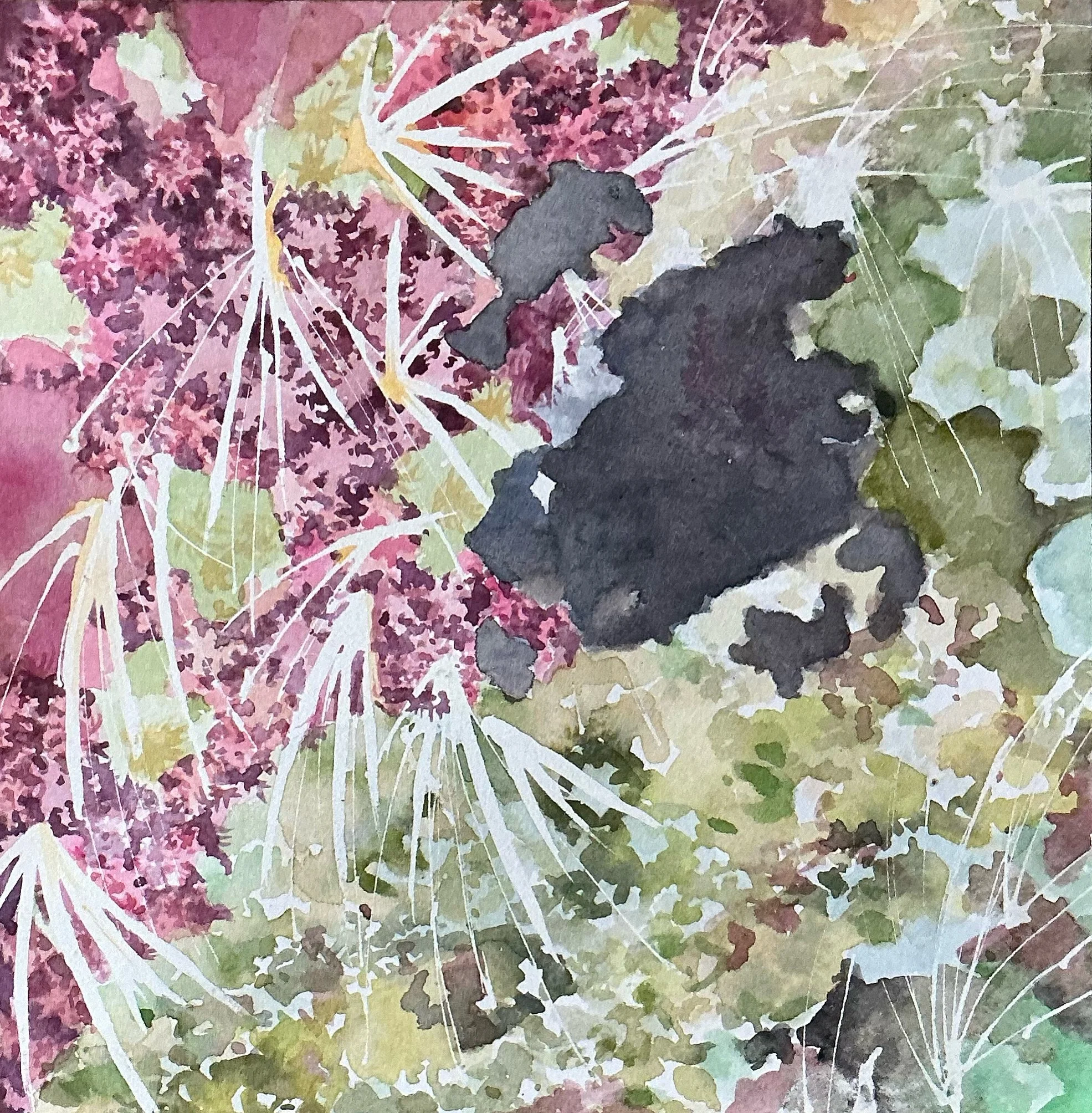 Window to the Bog 2025
