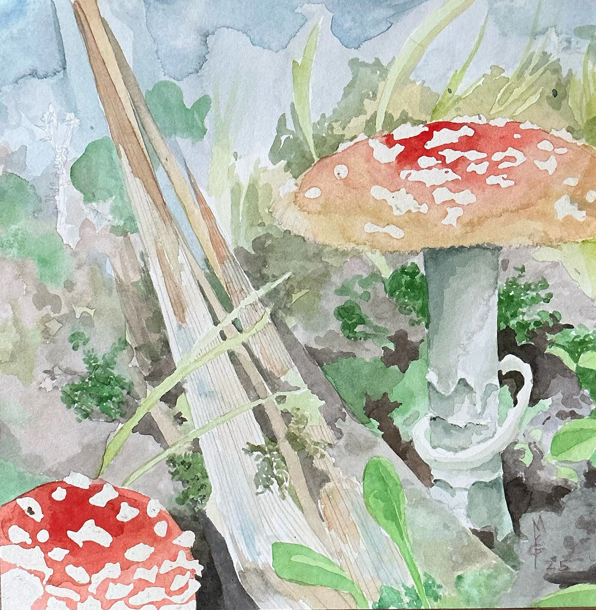 Mushroom study 2025