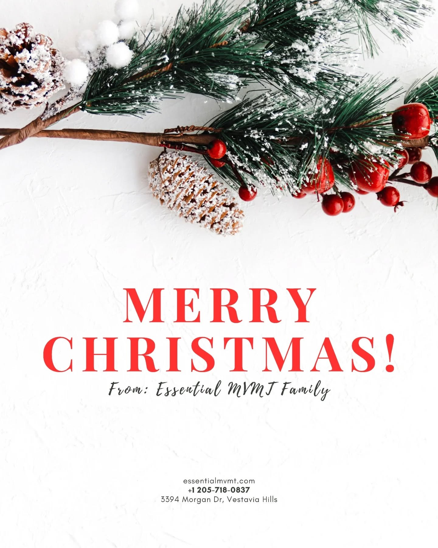 Merry Christmas!🎄❤️

Thank you for moving with us, supporting our studio, and being part of our journey this year. We are truly grateful for each and every one of you. Wishing you a joyful, peaceful, and love-filled holiday season!