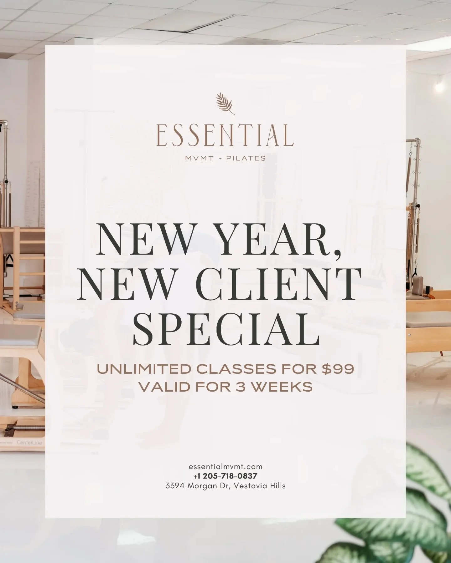 ✨ Start 2026 with something new ✨
If you&rsquo;ve been thinking about trying our studio, this is your sign. Whether you&rsquo;re brand new to movement or ready to refresh your routine, we&rsquo;re so excited to welcome new faces into our community wi