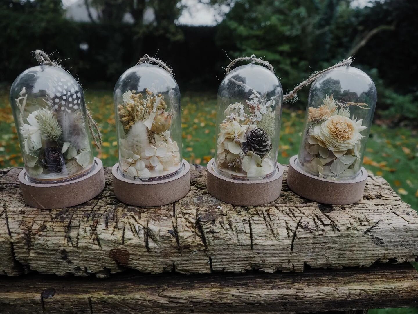 I couldn't resist making a few more of my favourite little cloches or little time capsules as I like to call them!

Each with their own story to tell and with delicate blooms frozen in time, I just love, love, love them.

&deg; 

&deg;
 
&deg;
 
&deg