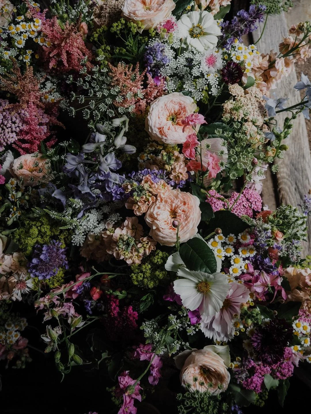 General 6 — Copper and Moss Botanics.