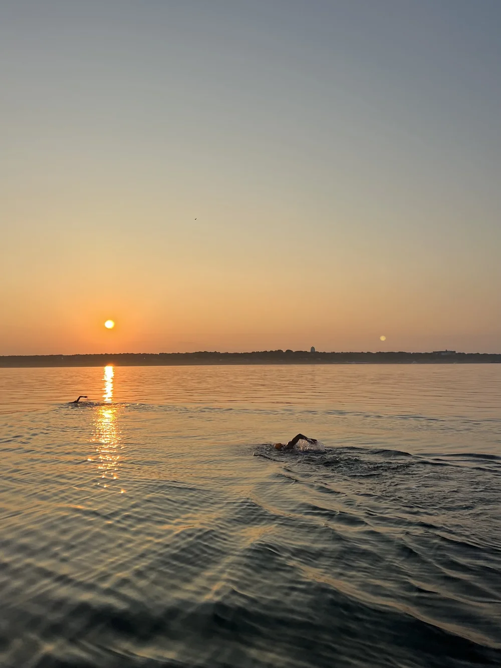 Fort Pond Bay Swim