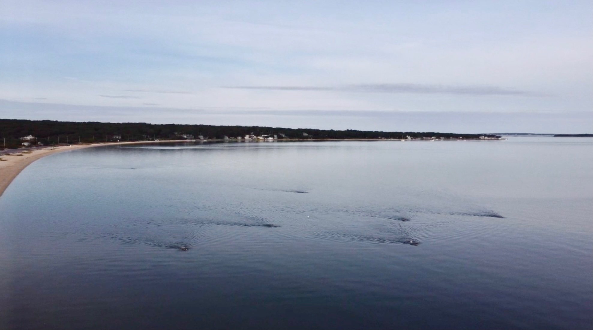 Tuesday Morning Open Swim