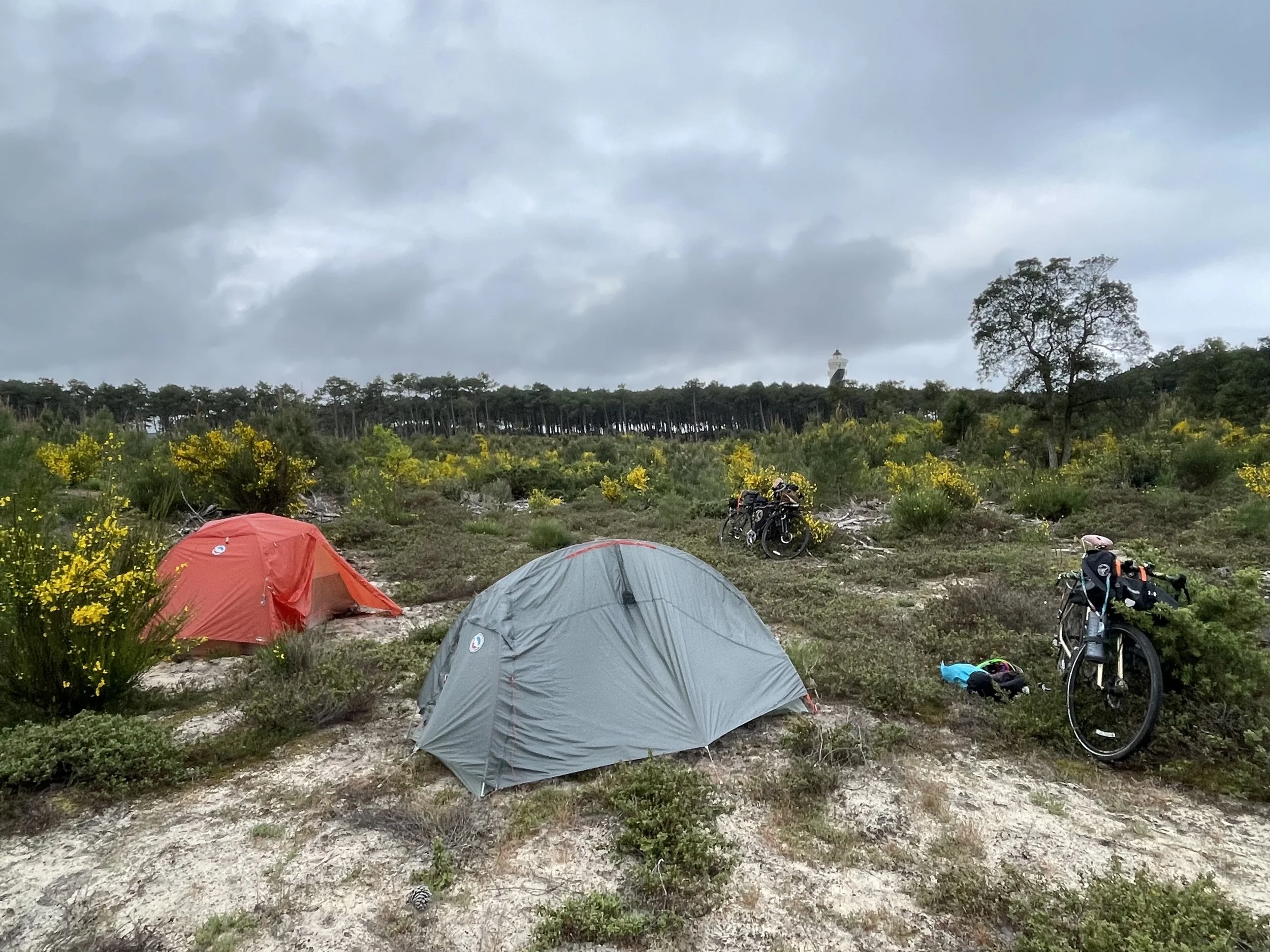 “The whale ship was my Yale college and my Harvard.”