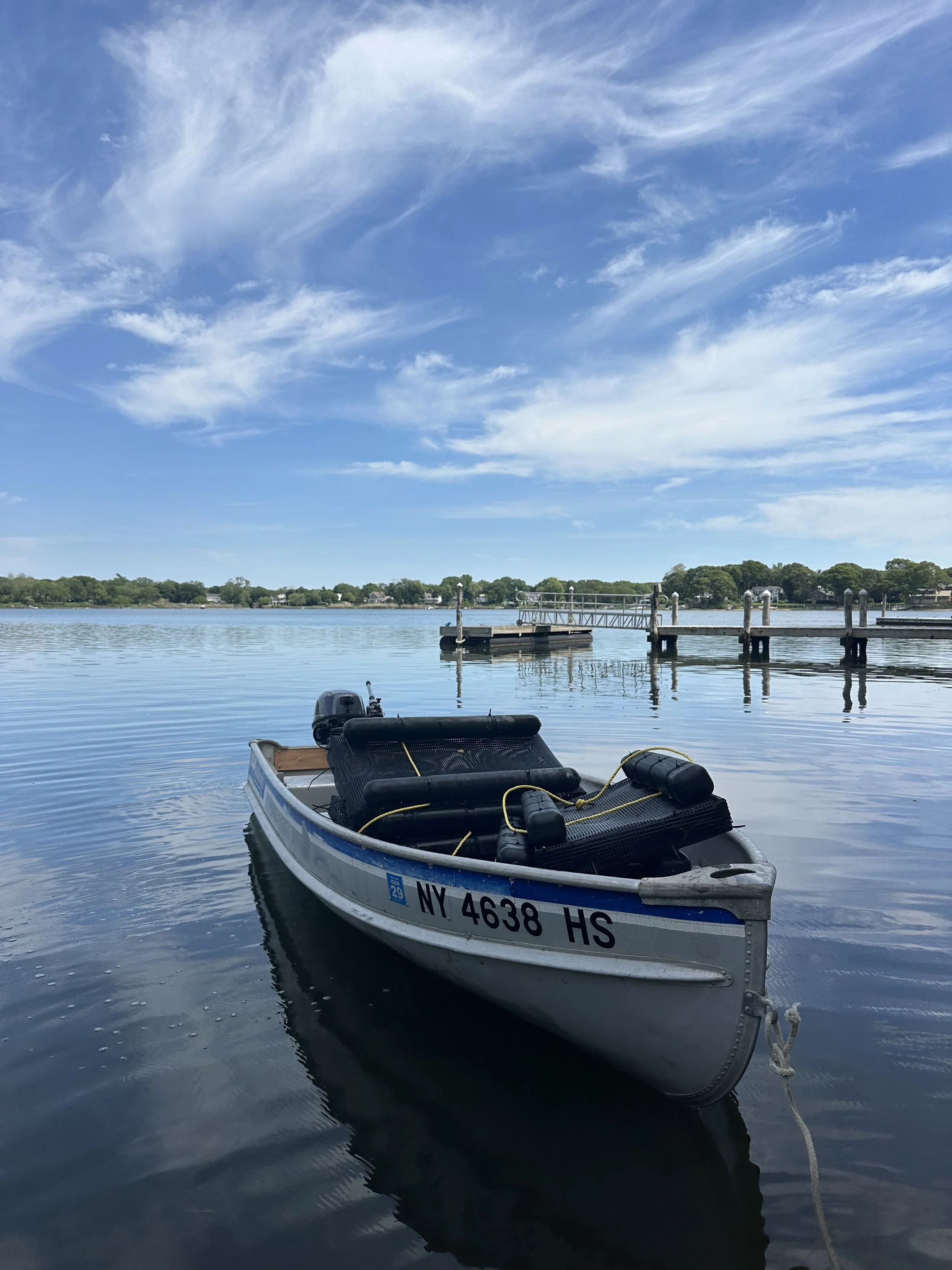 IMG_3744.jpeg