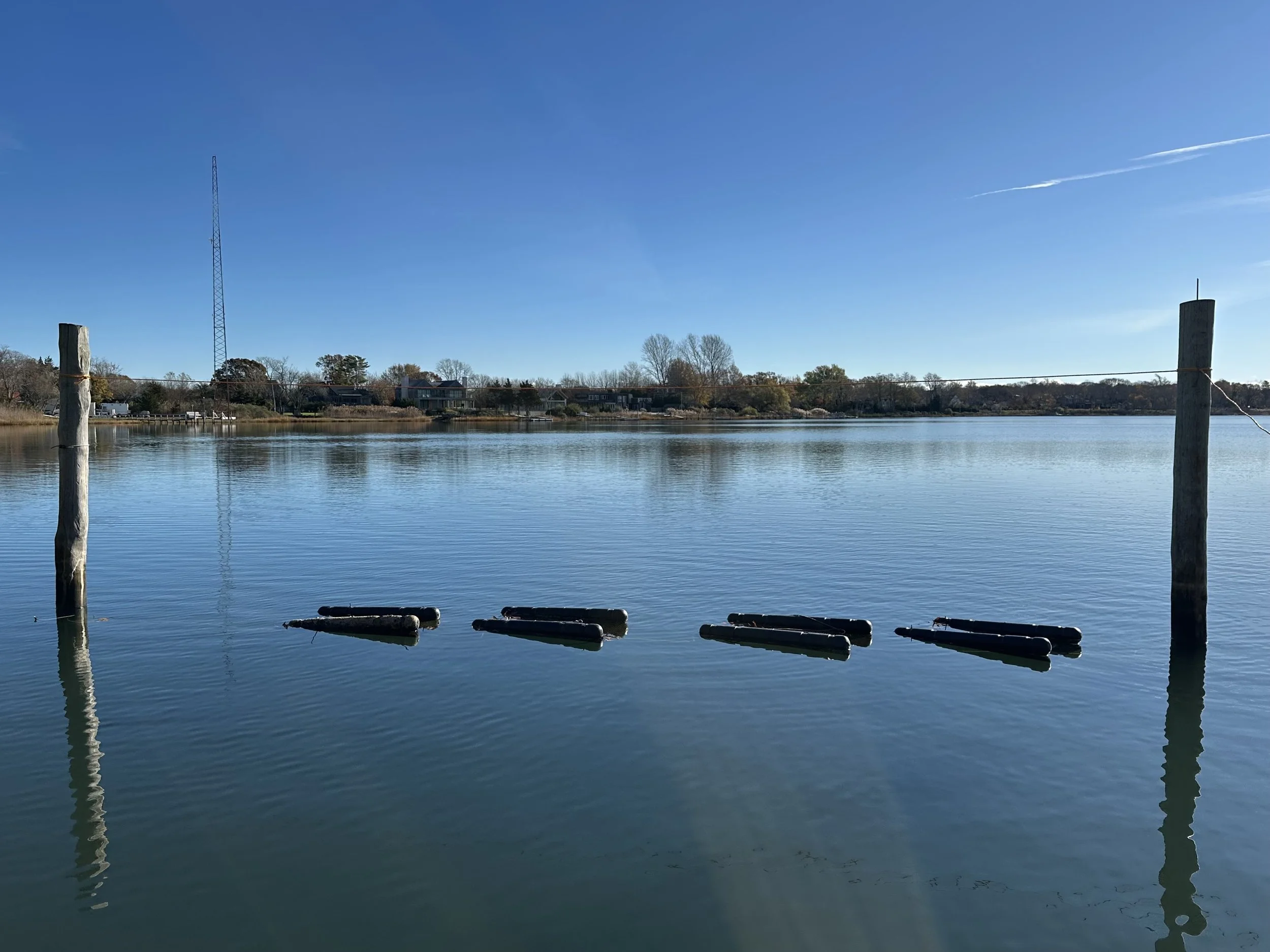 BRUSH NECK OYSTERS: Water Quality Initiative