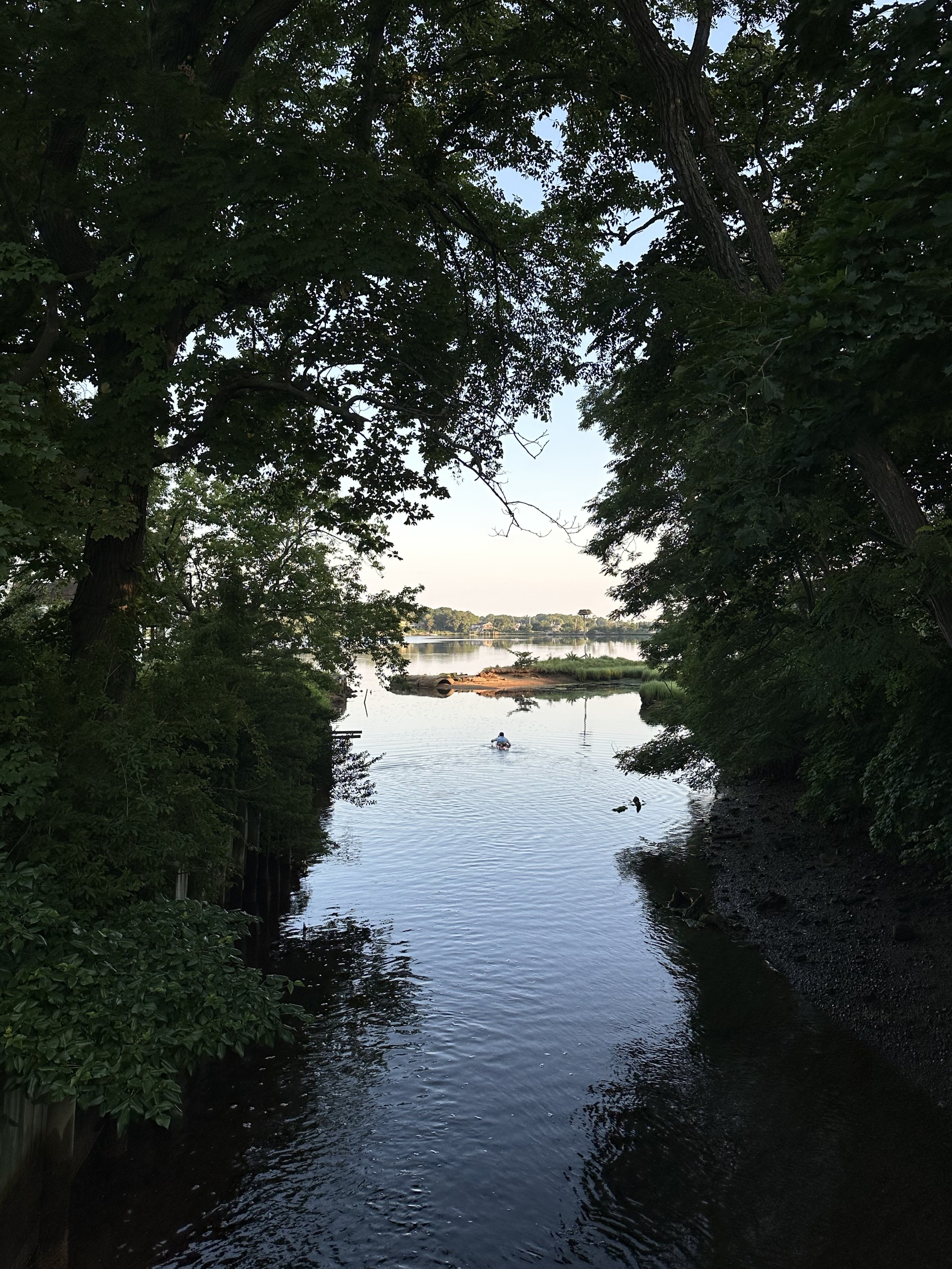 IMG_4138.jpeg