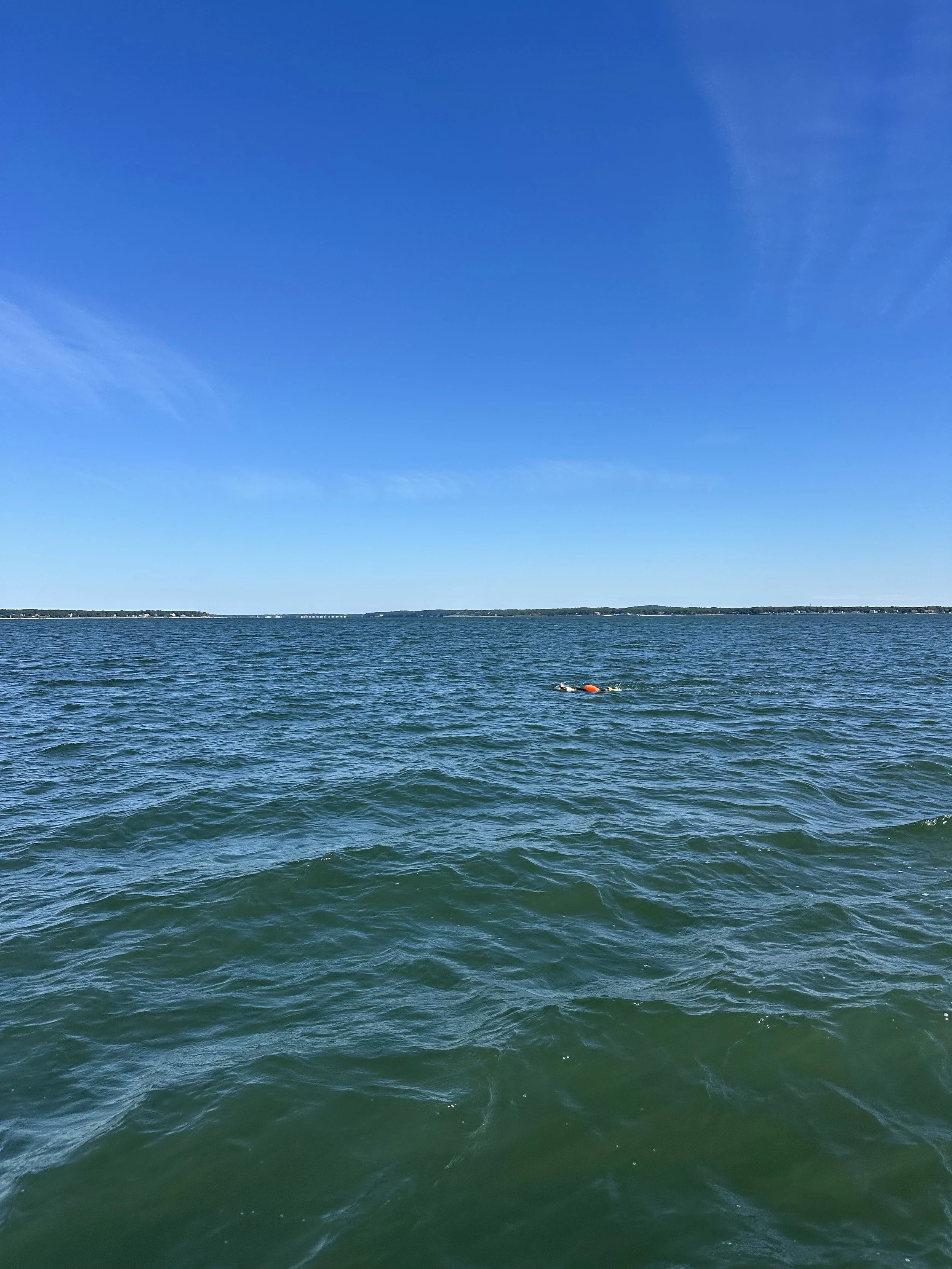 IMG_5174.jpeg