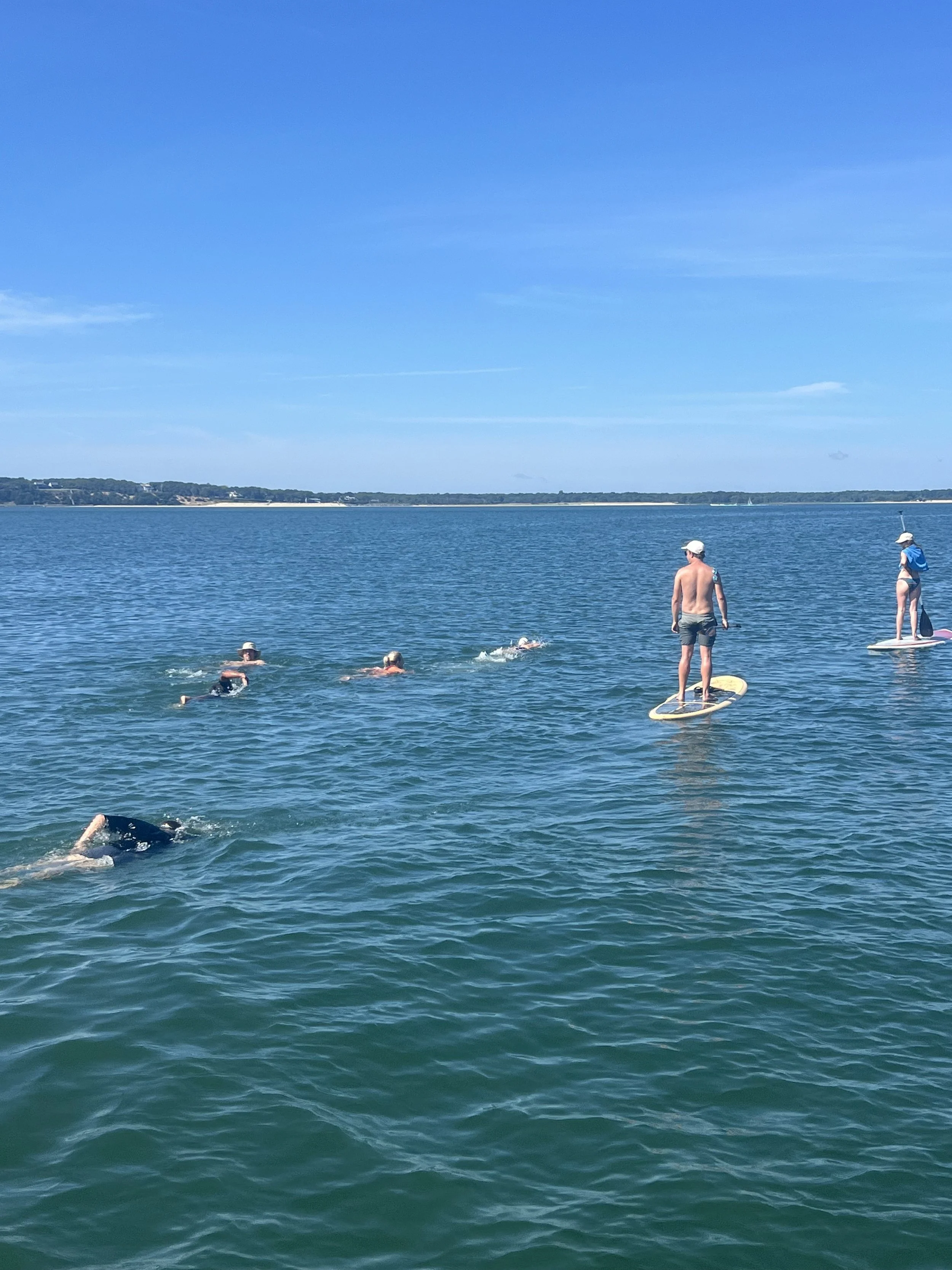 Cartwright Shoals to Gerard Drive: Swim