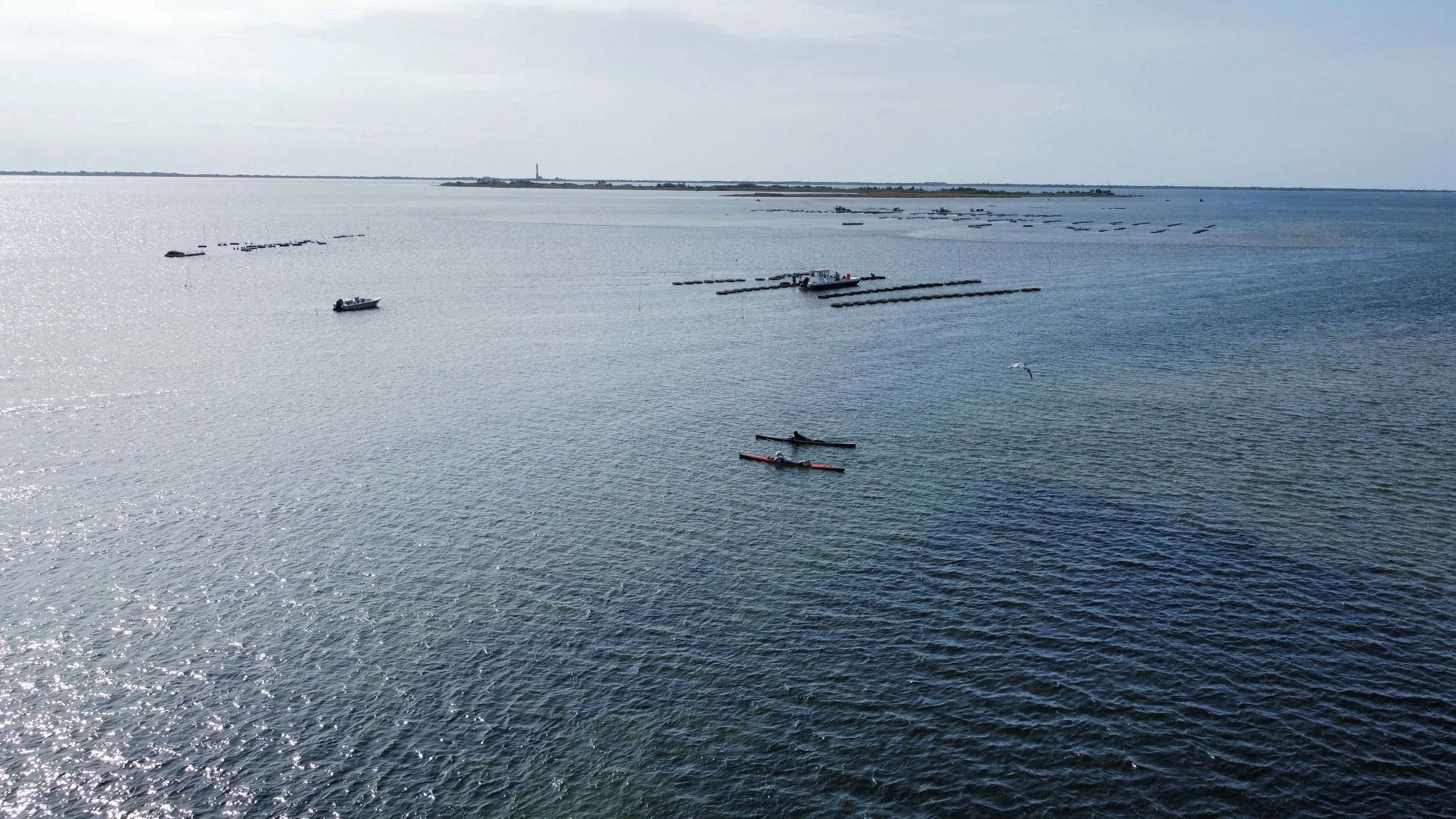 dji_fly_20260917_101810_506_1789654761690_photo_optimized.JPG