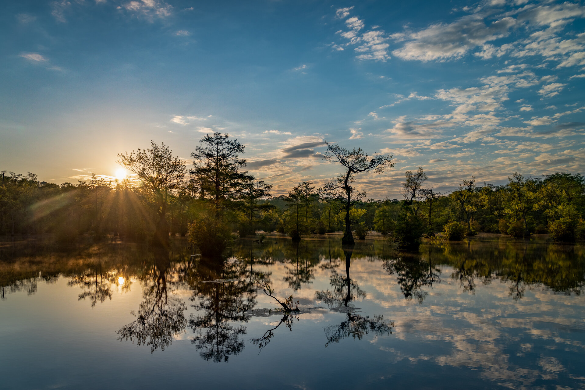 Millpond Morning