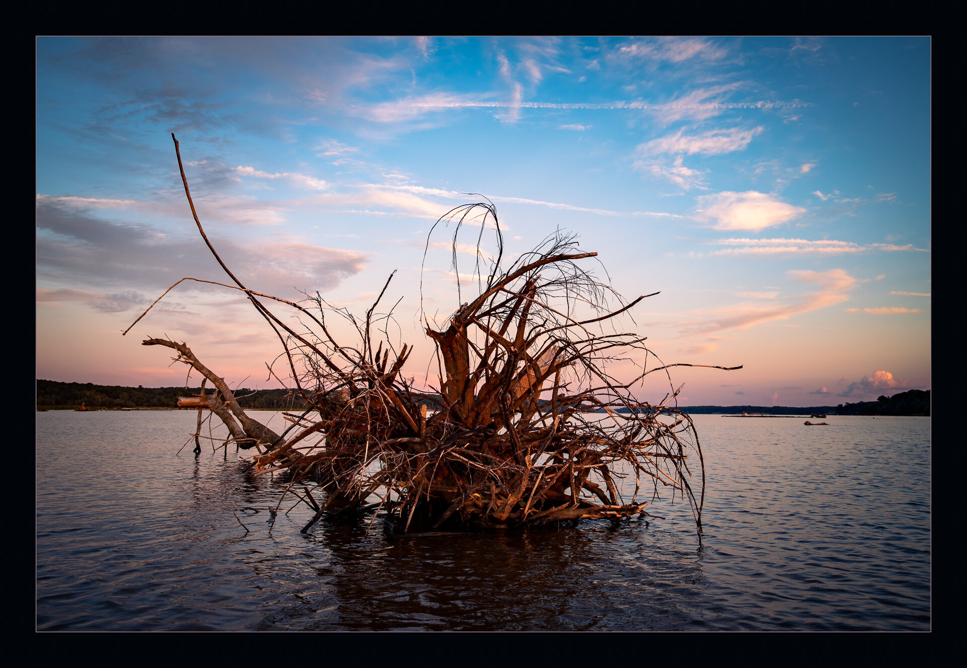 Uprooted