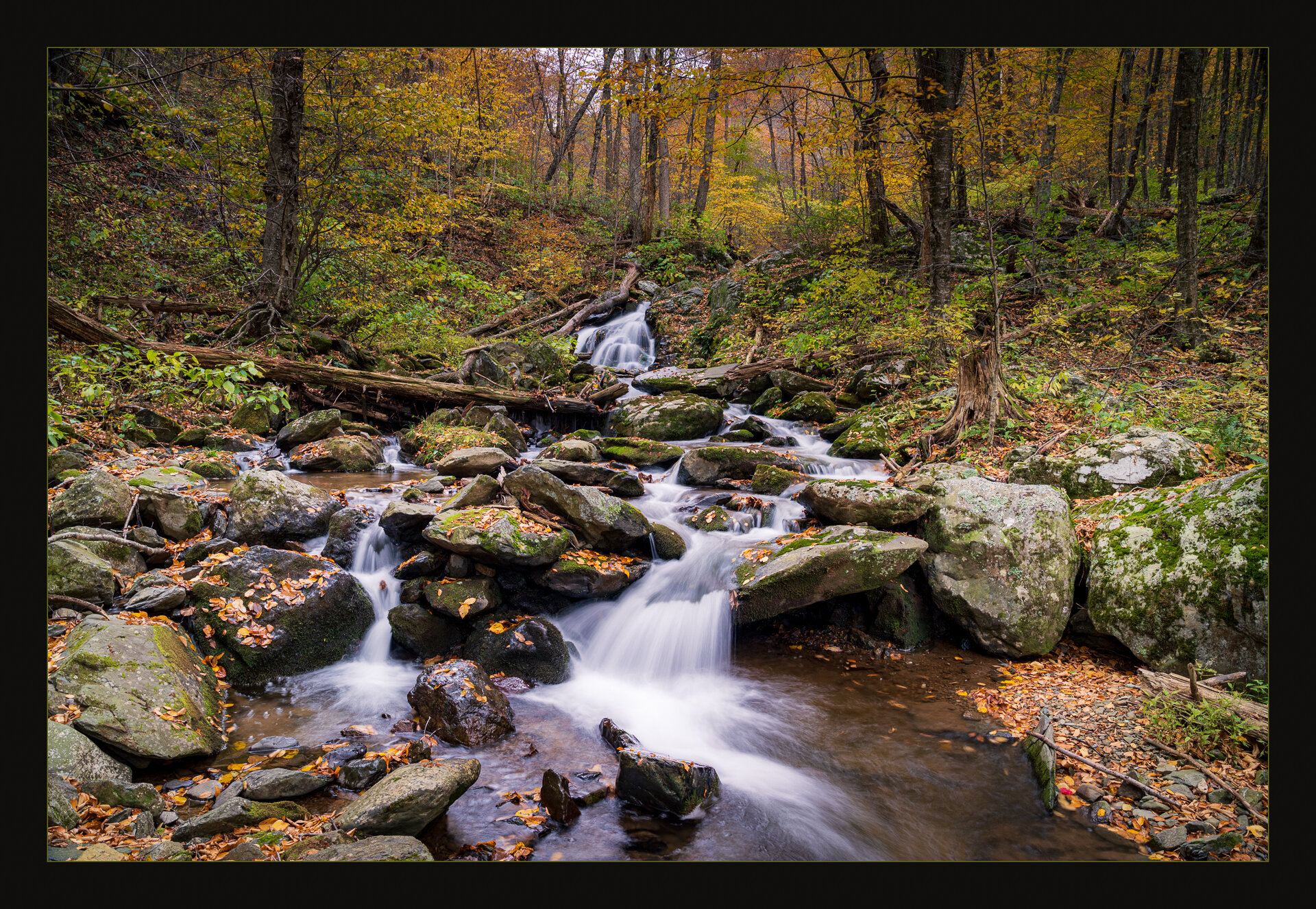 Shenandoah Flow