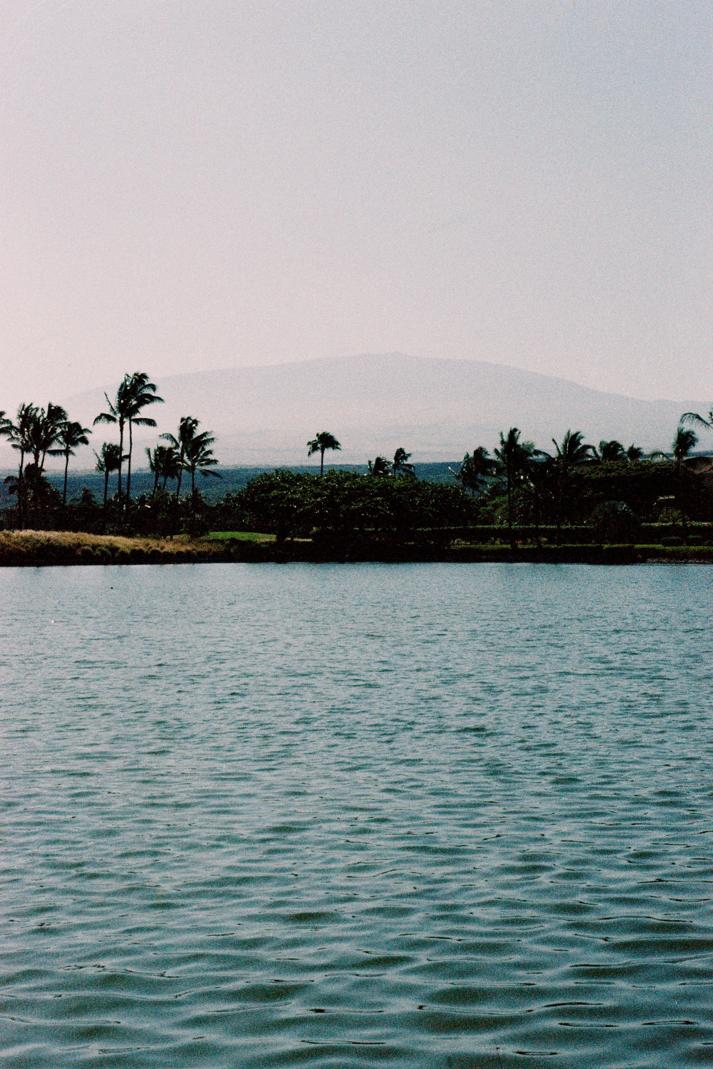 scan0002_1.jpg