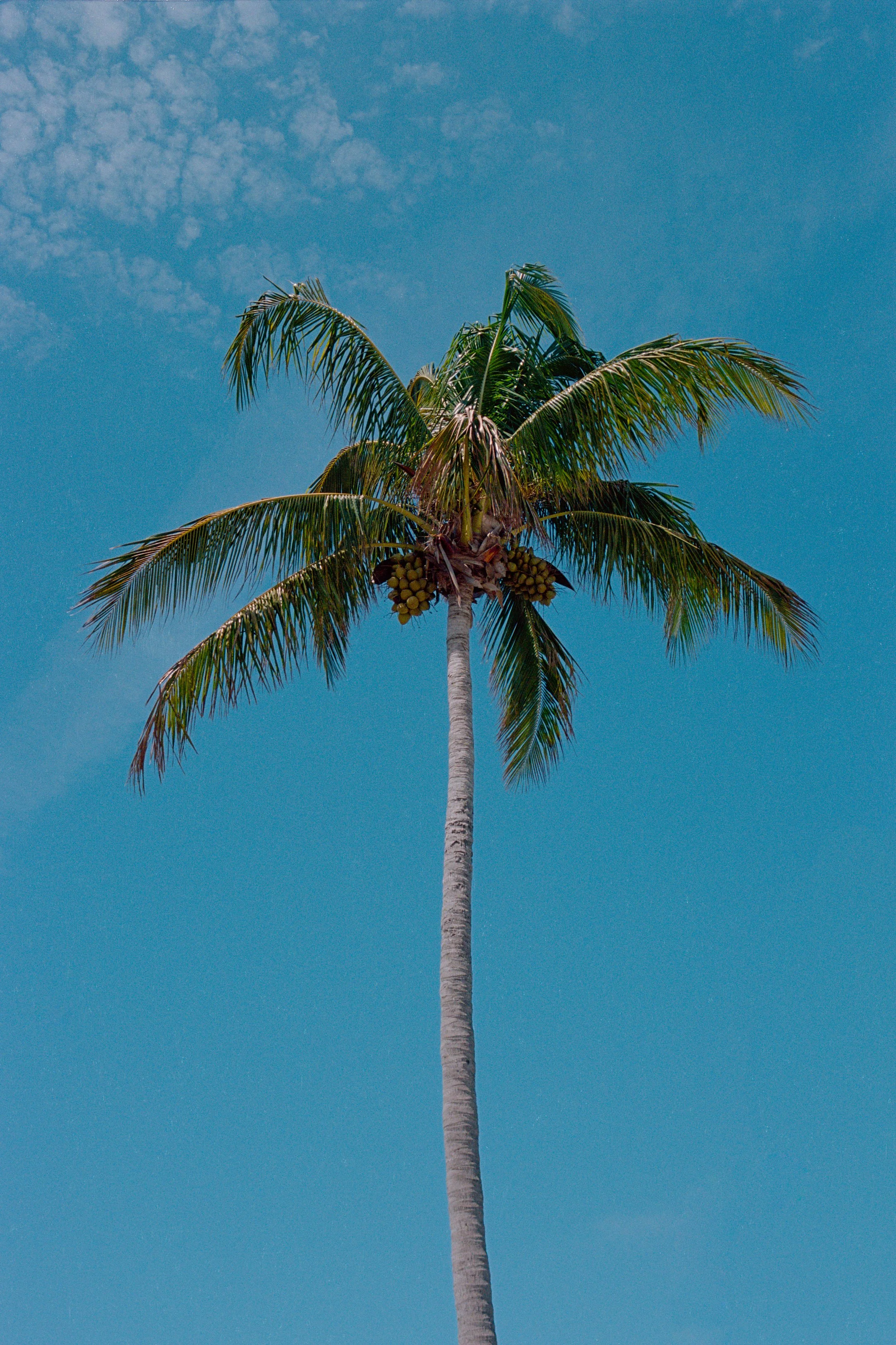 scan0012_160.jpg