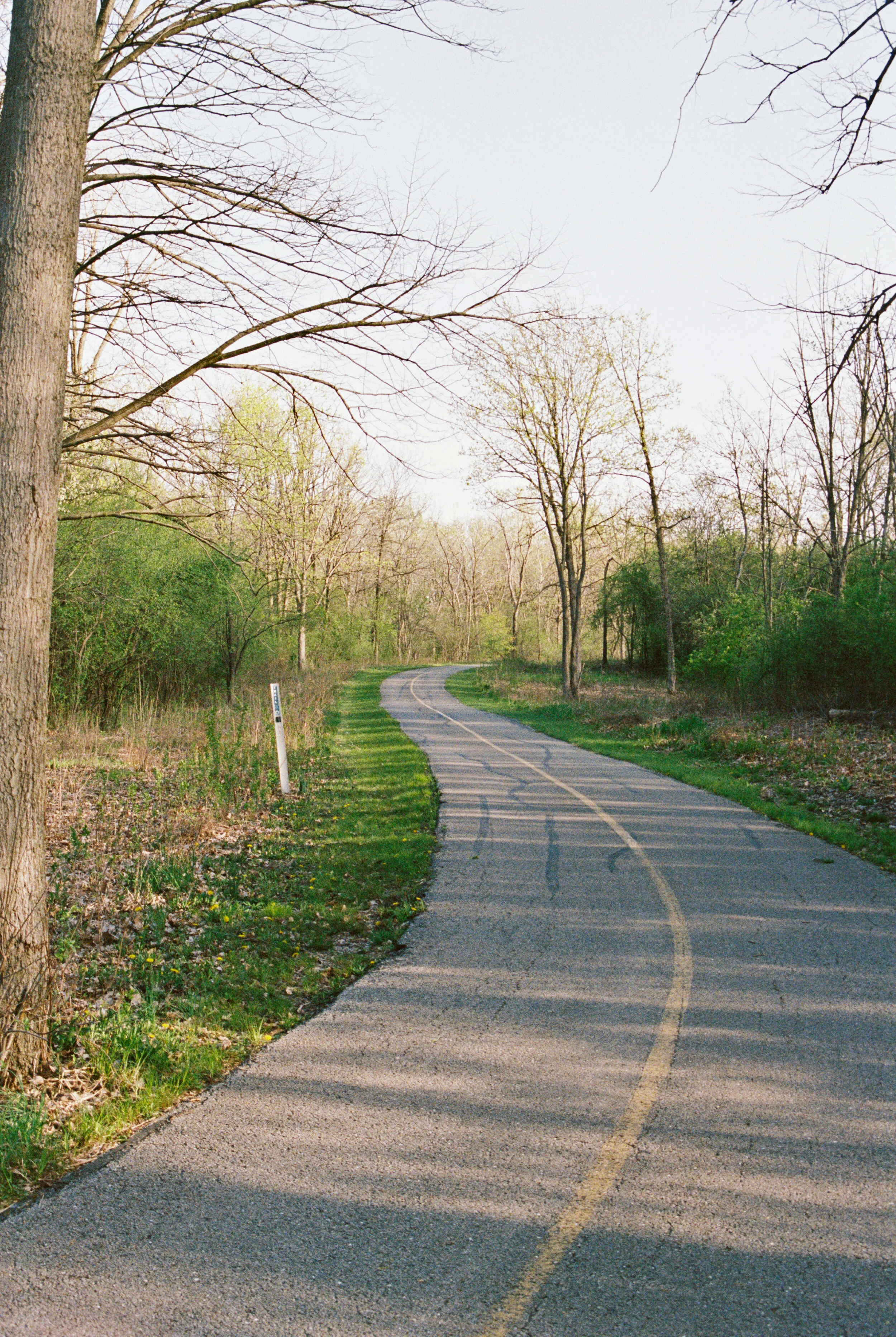 00428_11.jpg