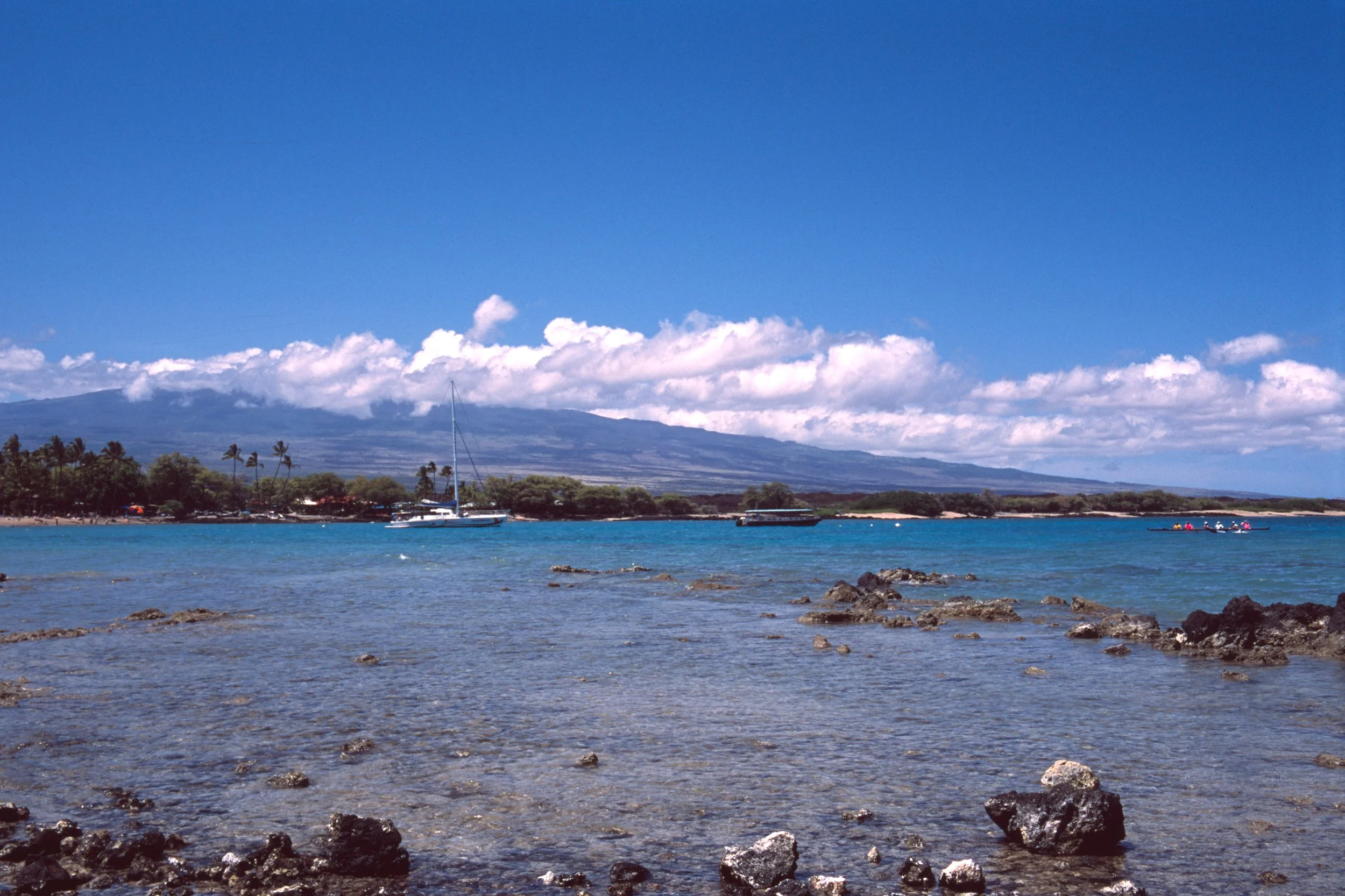 scan0024_3.jpg