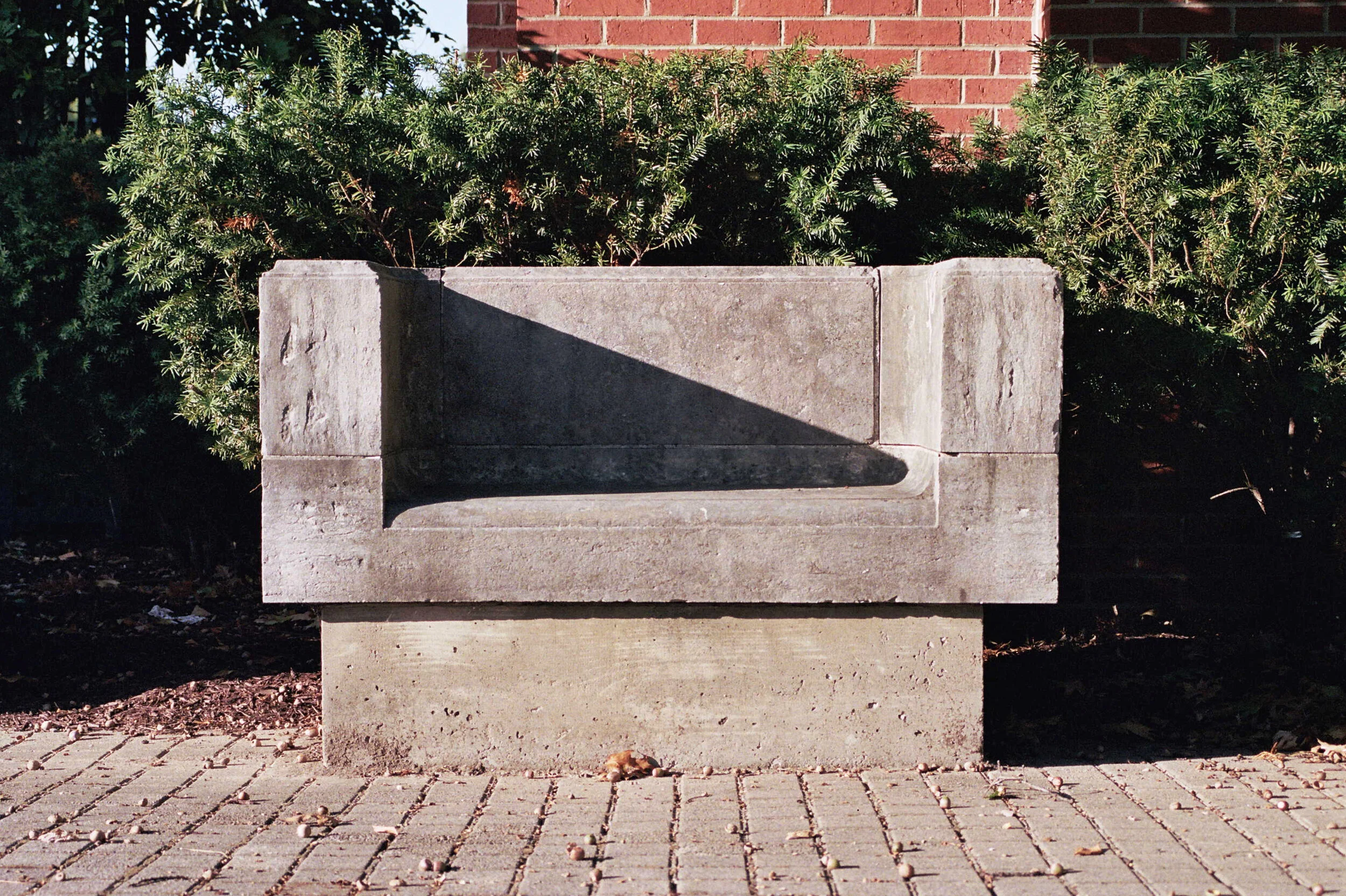 __5_0050_01.jpg