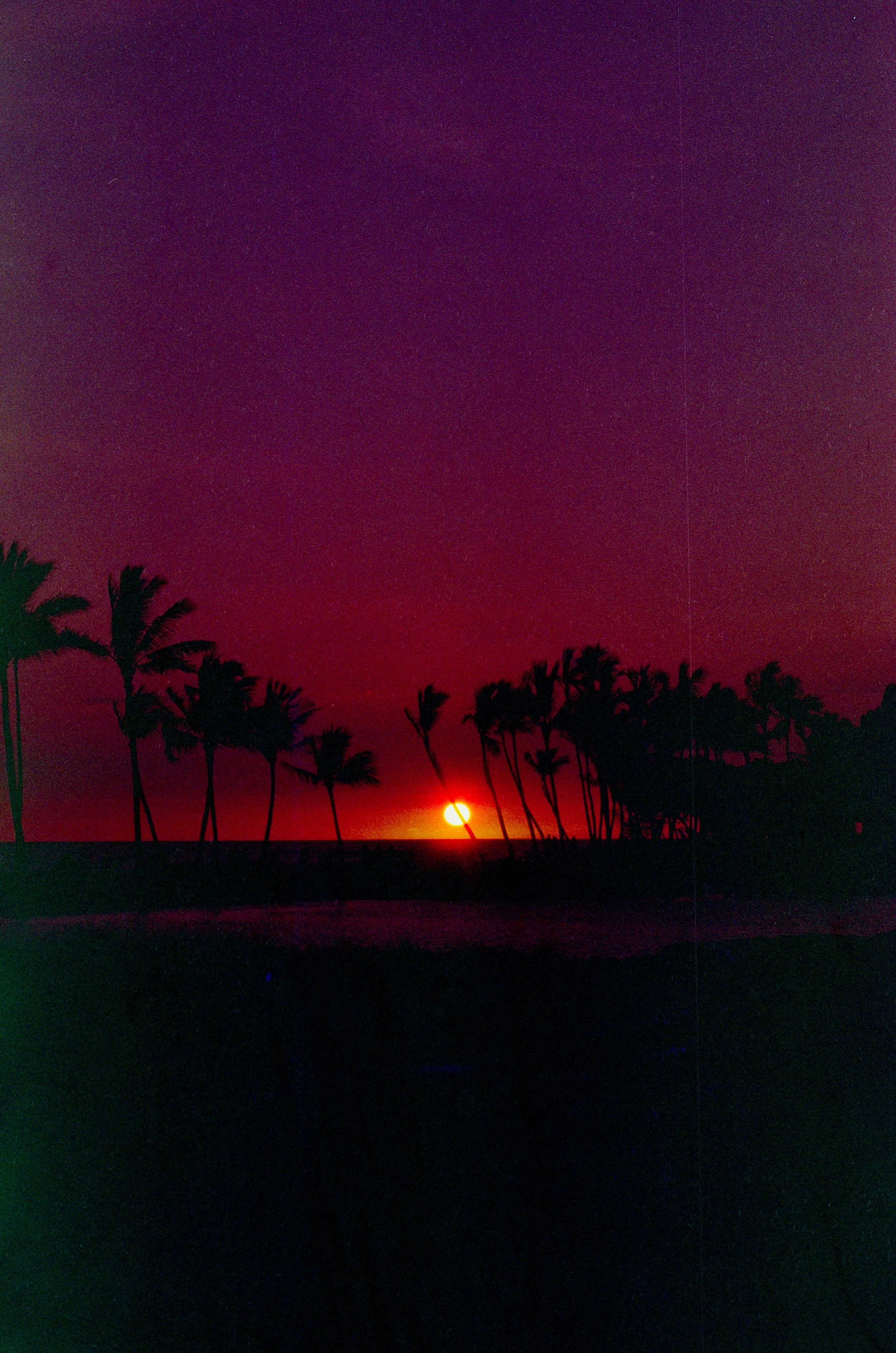 scan0016_1.jpg