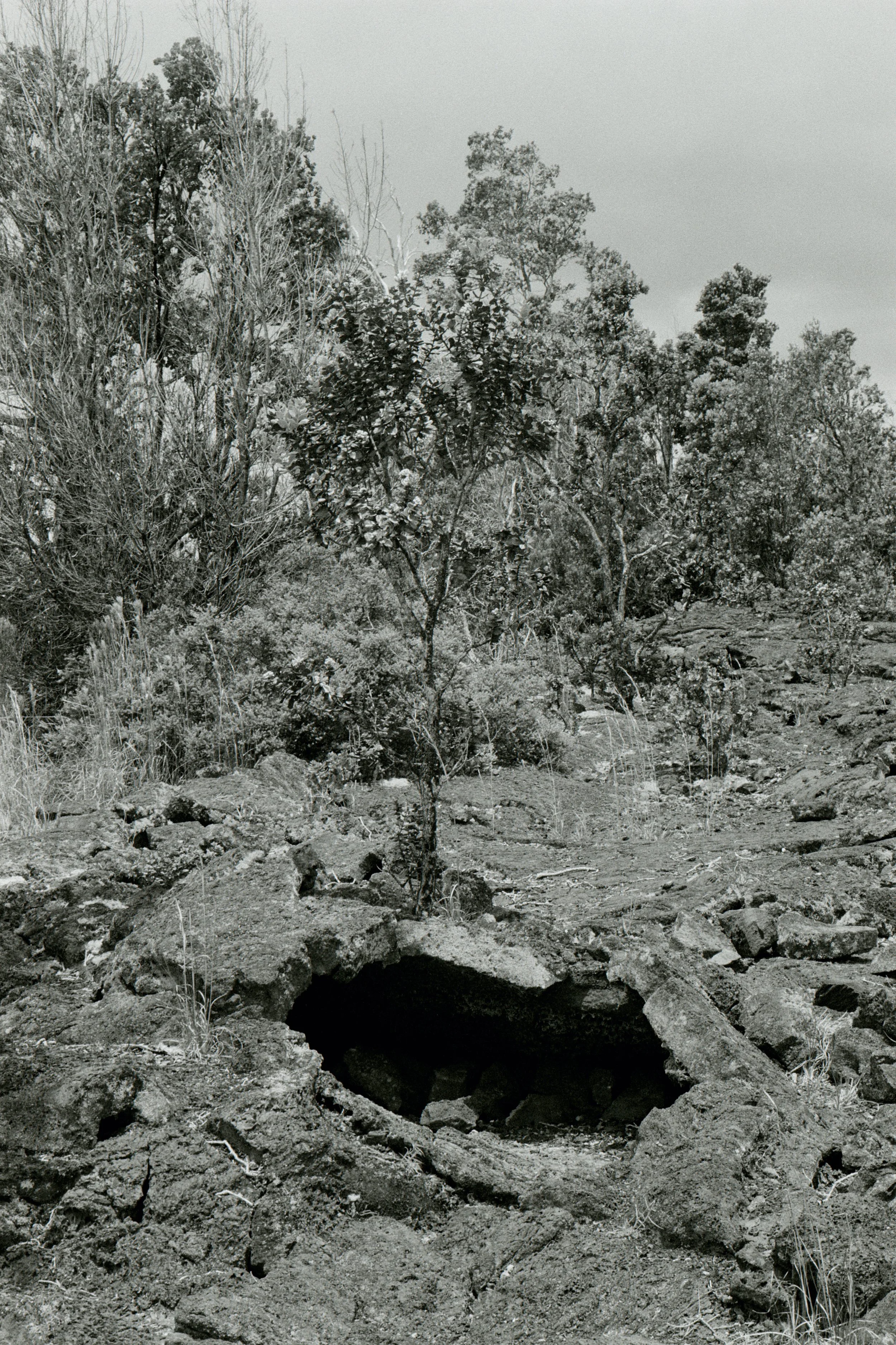 scan0015.jpg
