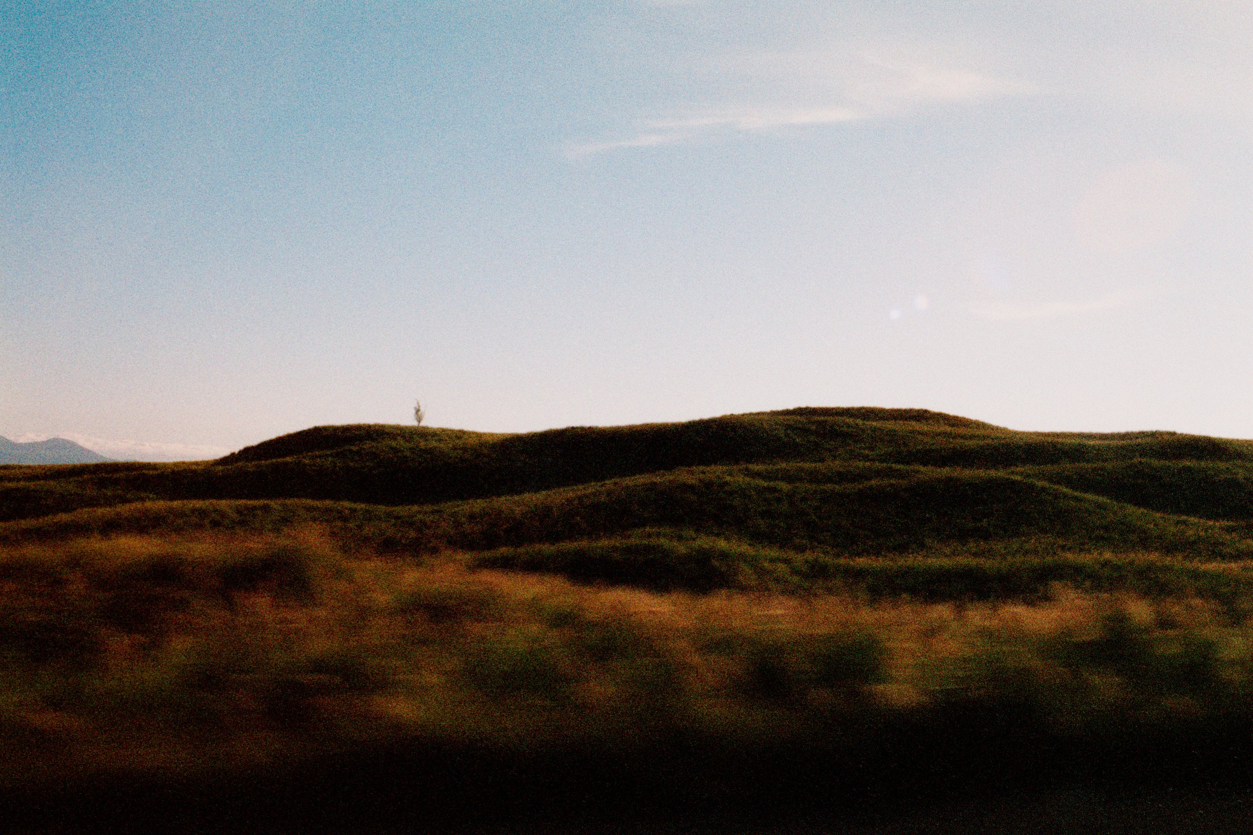 scan0005_2.jpg