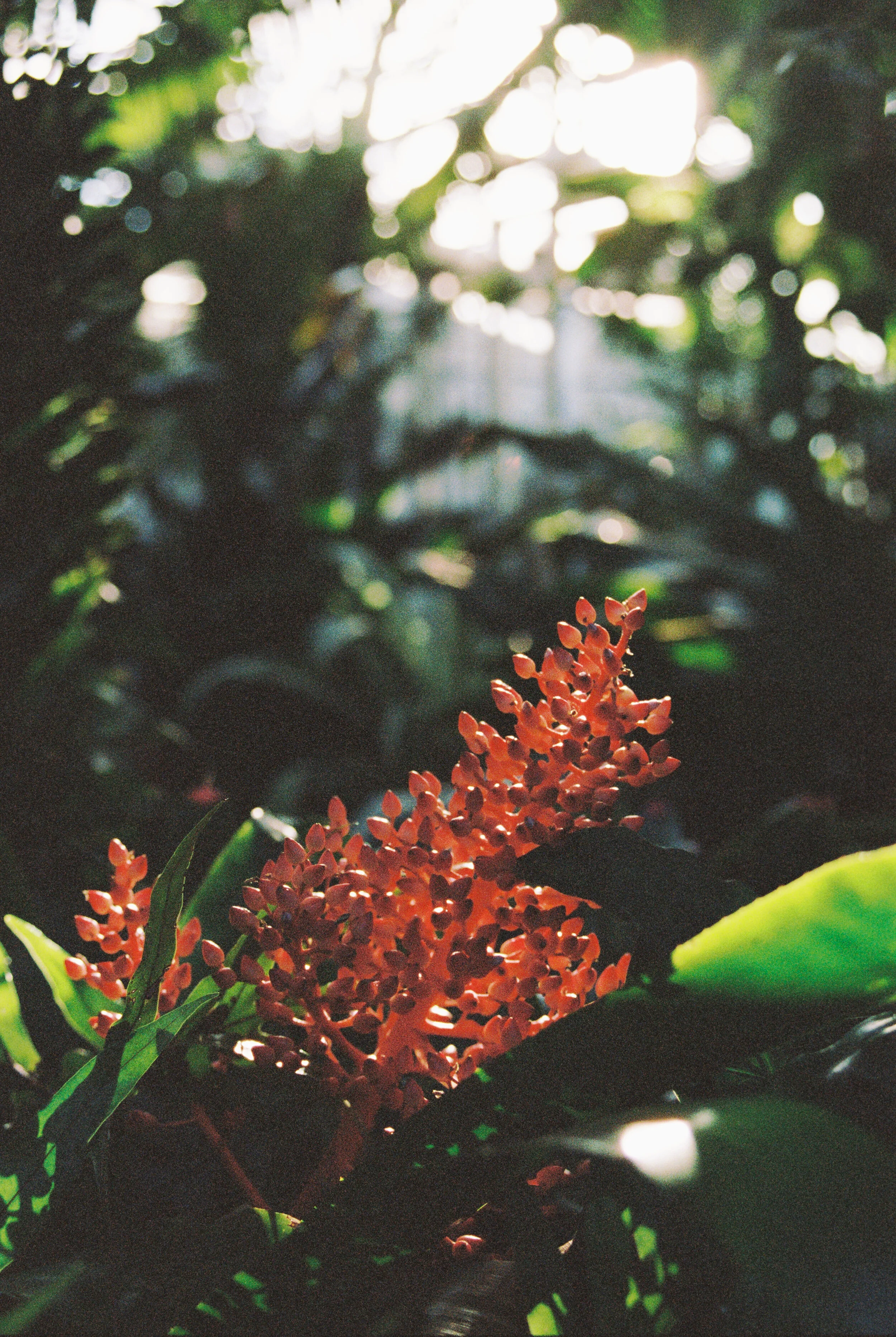 43075_04.jpg