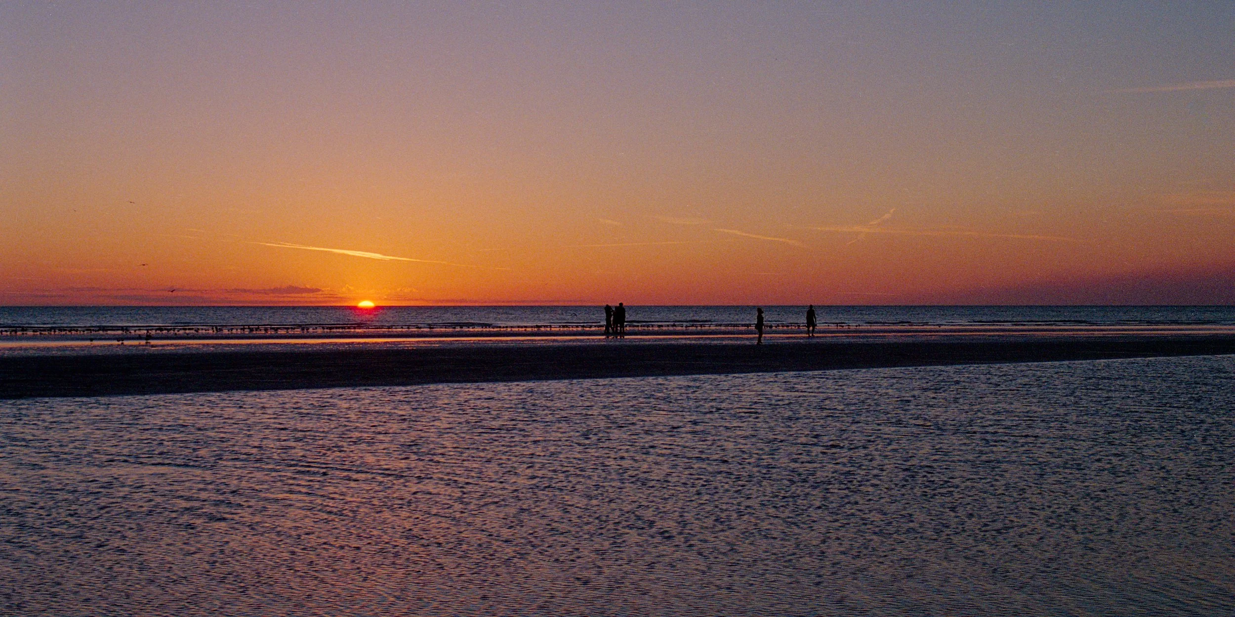 scan0037_800.jpg