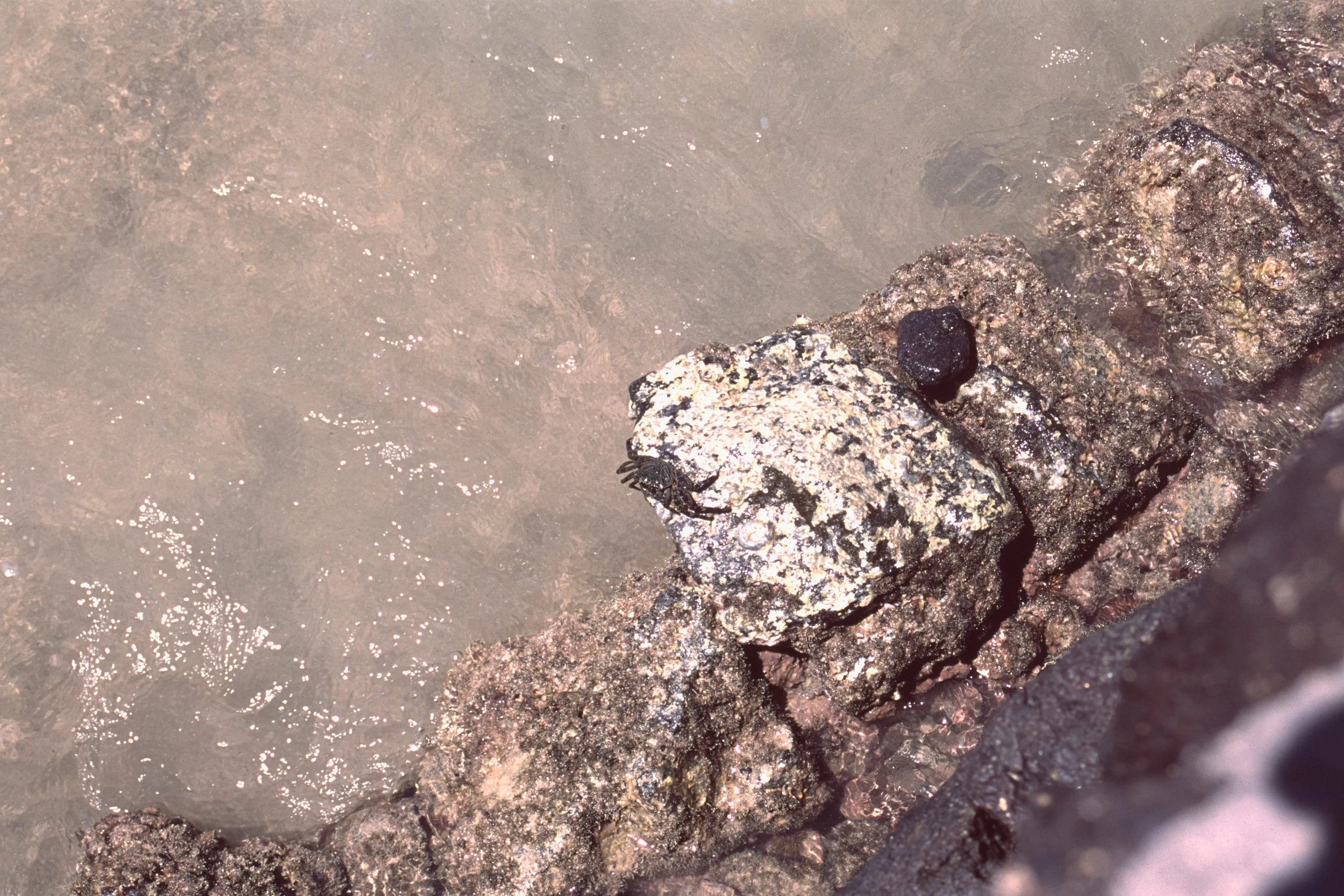 scan0011_3.jpg