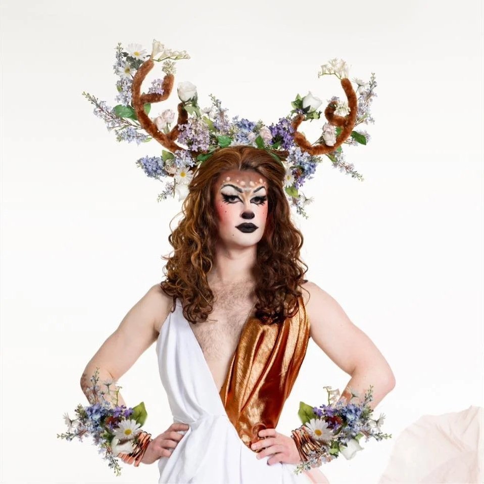 Norah Borealis, birdwatching