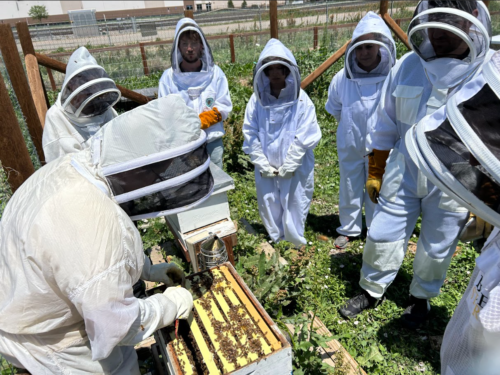 Screenshot 2025-12-16 163716.png