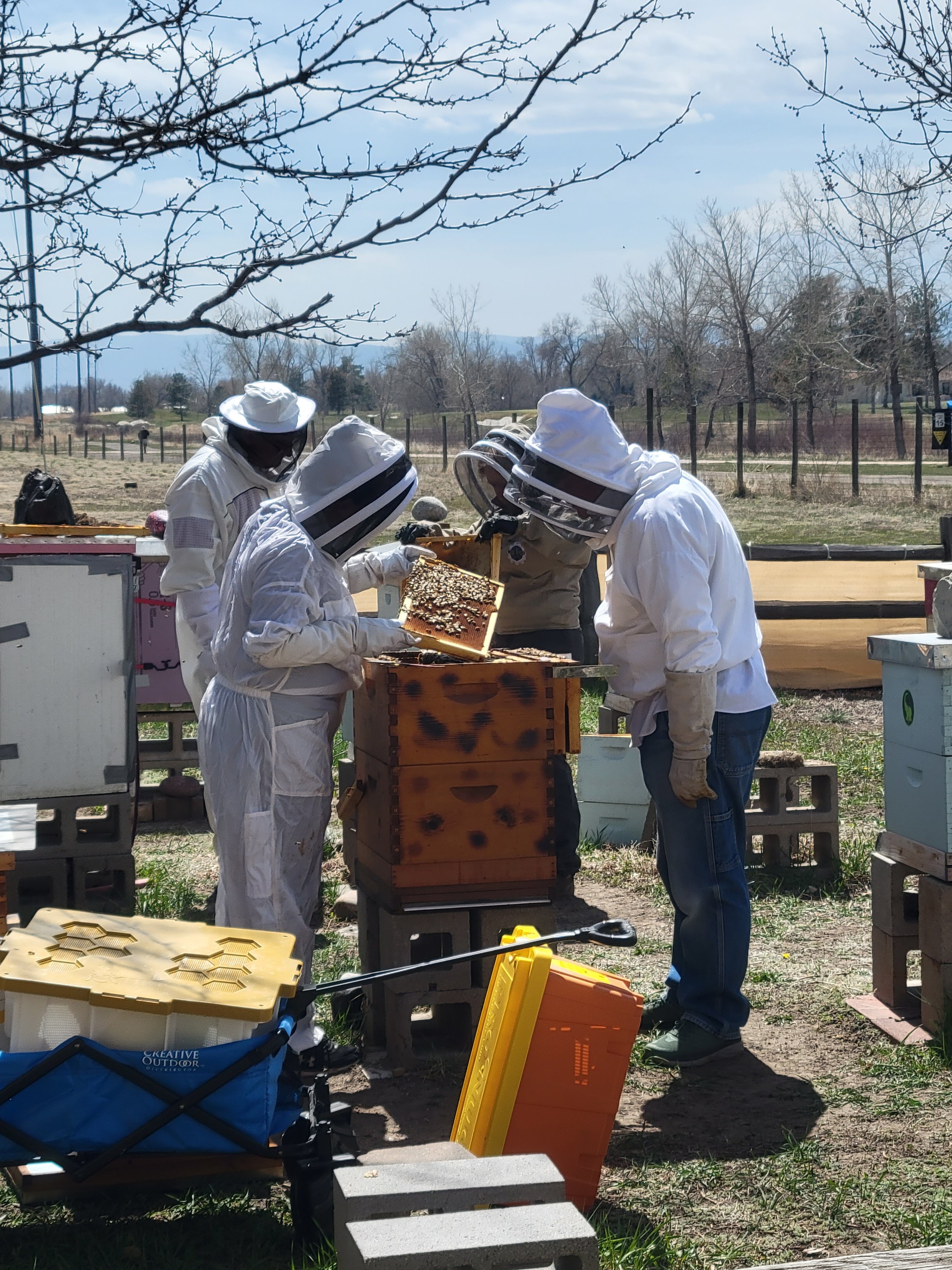 Beekeeping 101