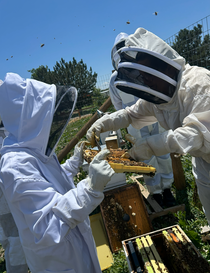 Screenshot 2025-12-04 125831.png