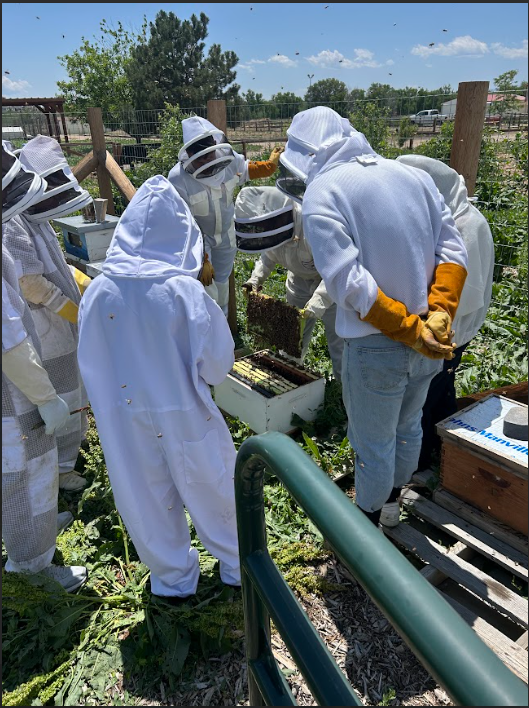 Screenshot 2026-01-05 111703.png