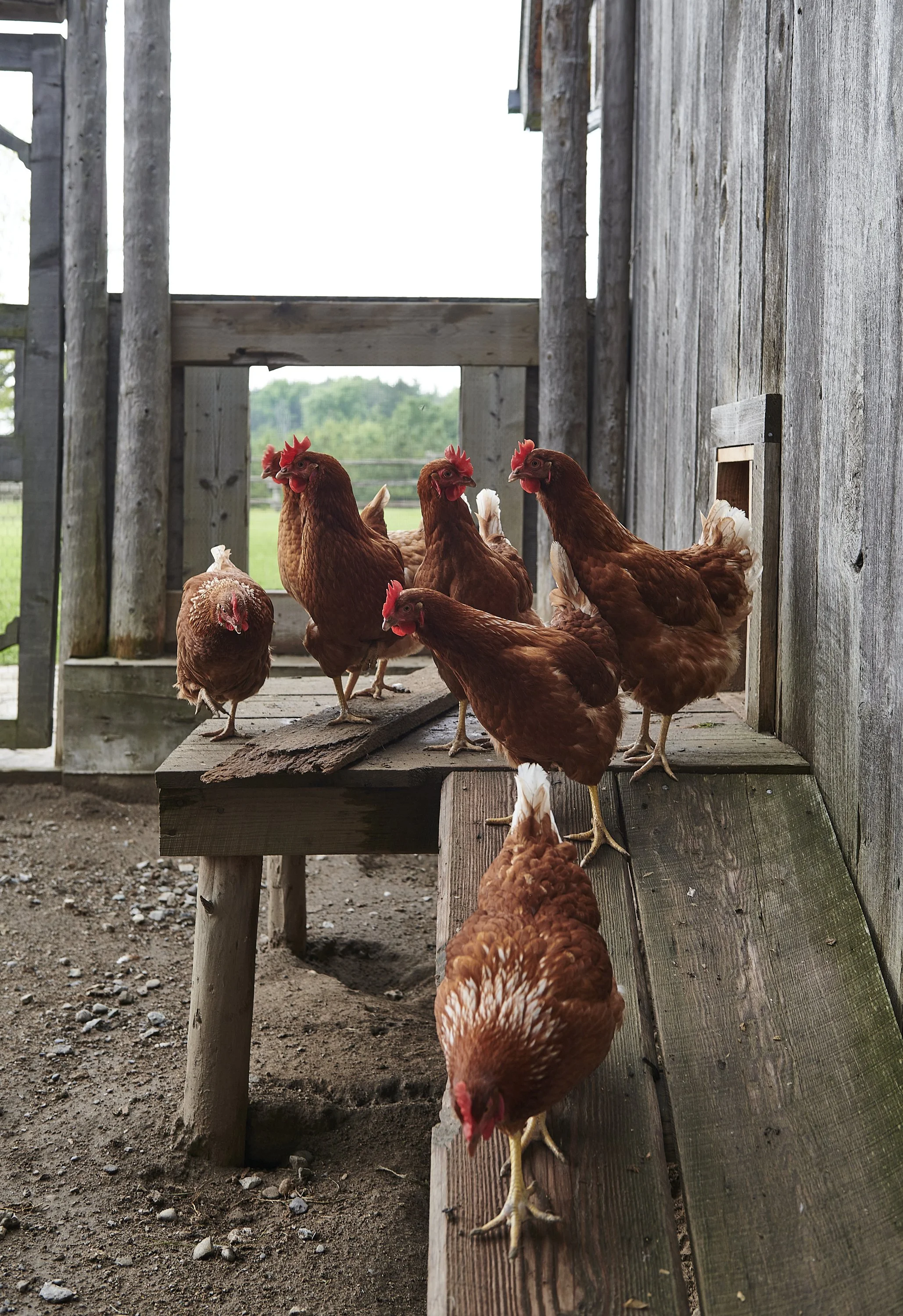 HCD_FarmhouseSideRd15_D2_237.jpg